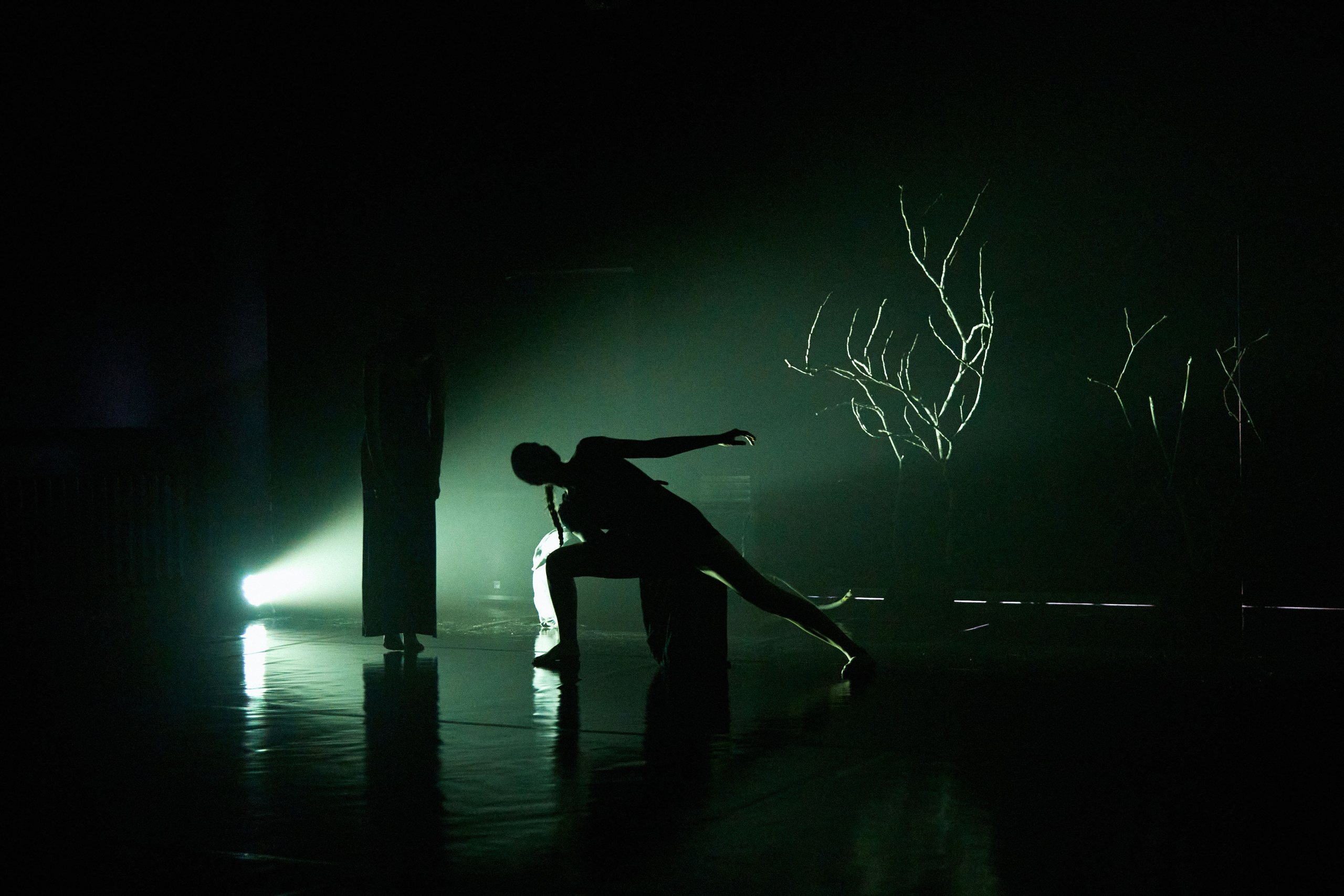 Спектакль «БезДна» театра танца «Скрим». DENISOV ART (фото, видео, дизайн) САМАРА