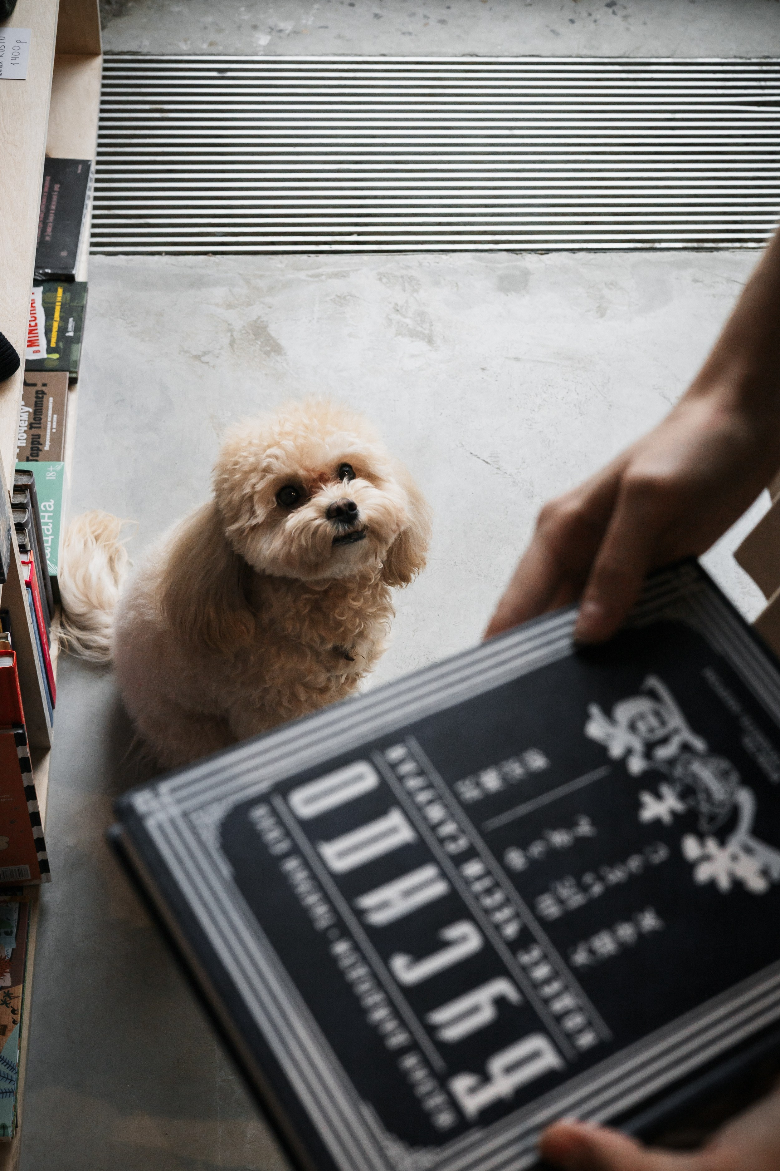 Алина — прогулка