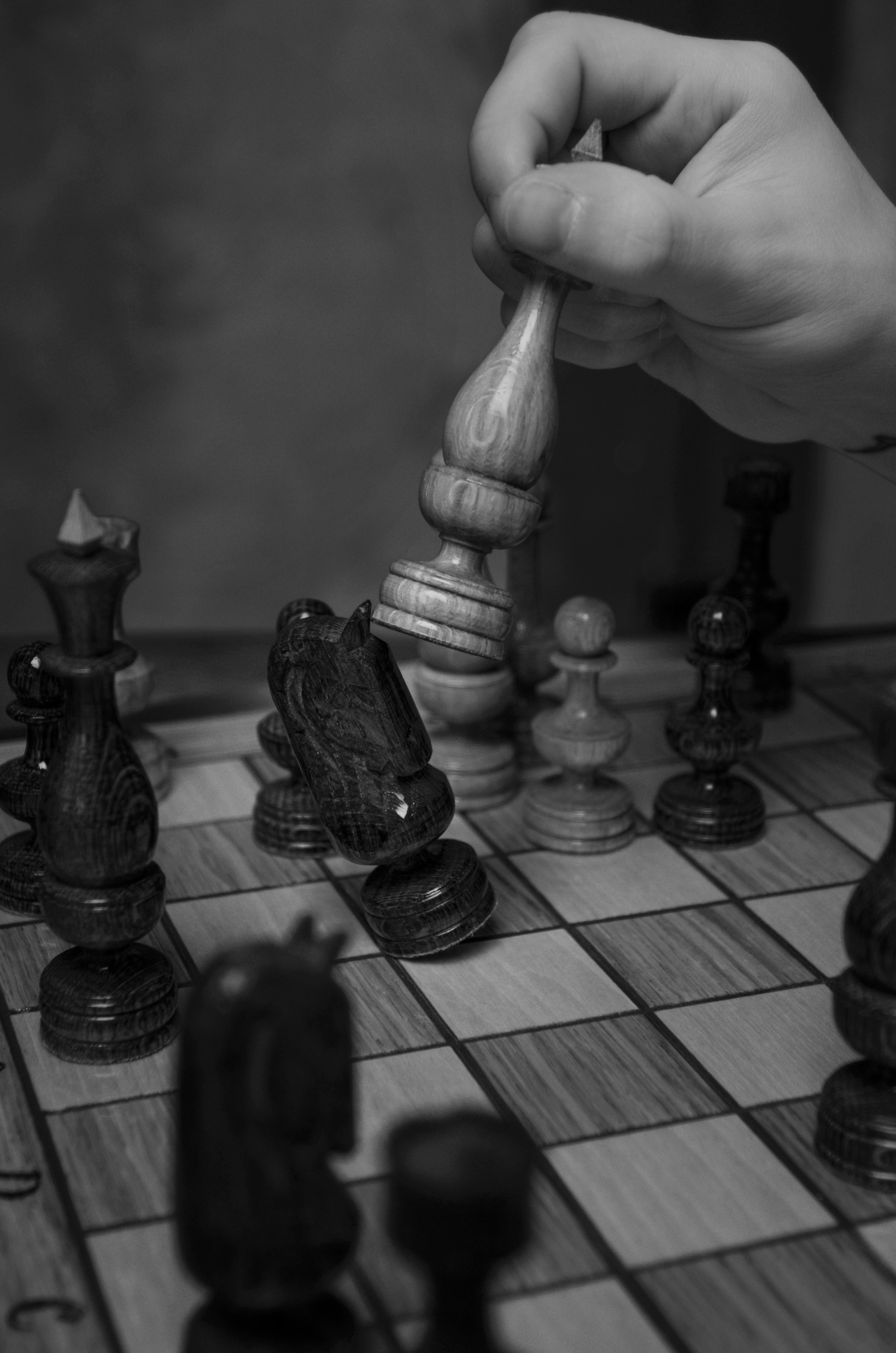 Гамбит короля. Фотосессии по мотивам сказок и фильмов — Катерина Исауленко. СПб