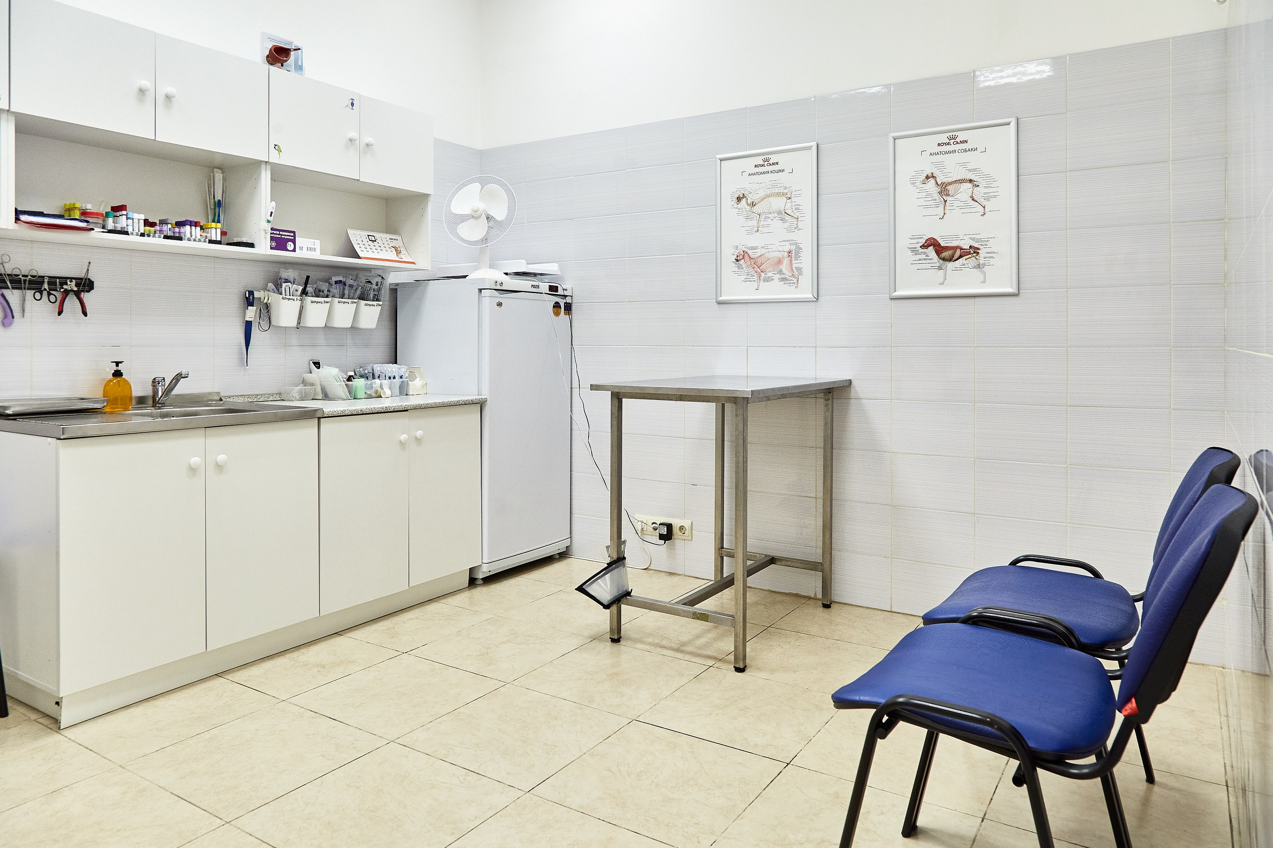 Ветеринарная клиника Косточка на Дальневосточном пр. Фотограф Анастасия Леонтьева Санкт-Петербург