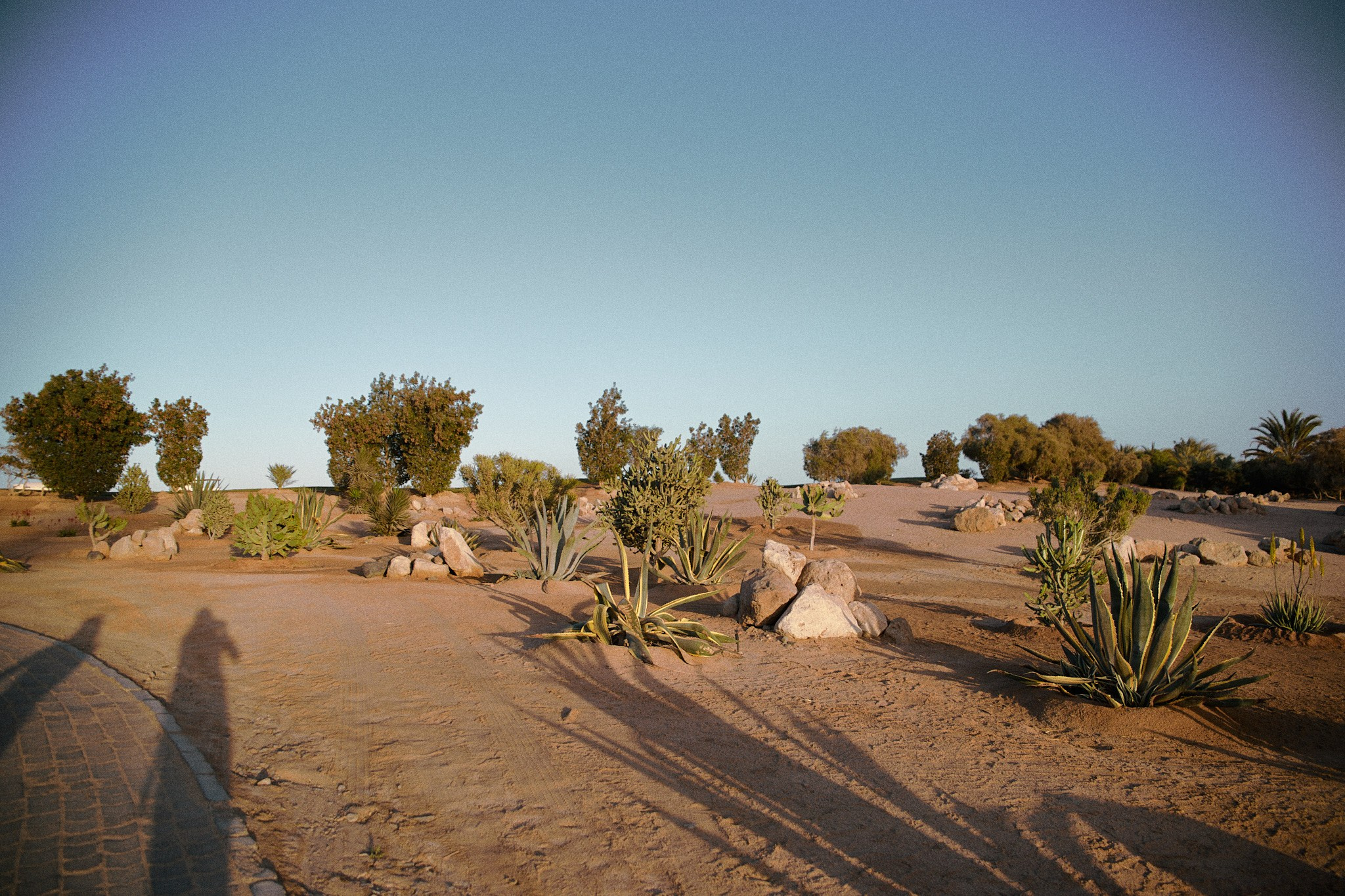 Улица горизонтальная. Jorgis — фотограф в Хургаде / обучение фотографии