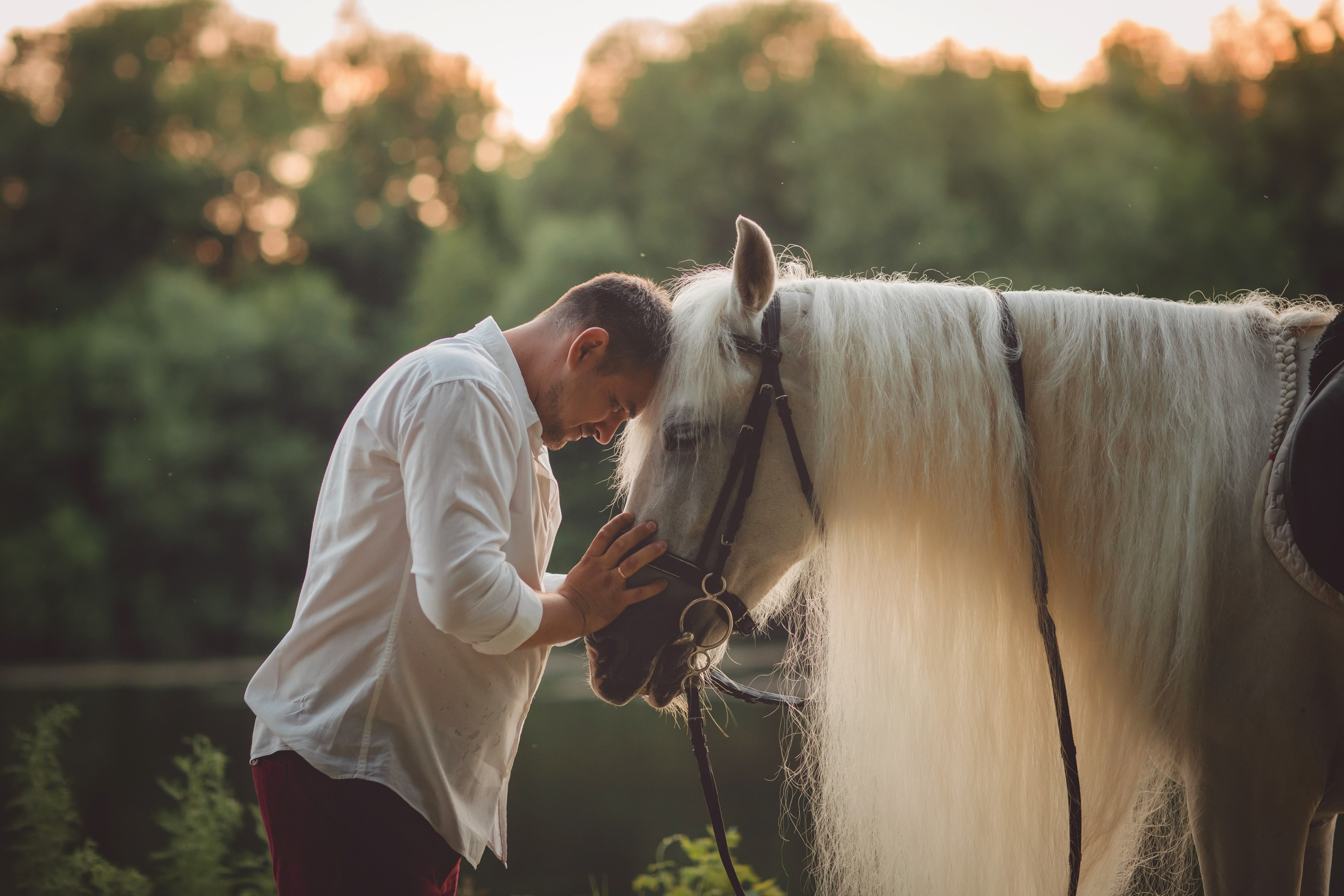 Семейная с лошадью. Детский и семейный фотограф в Пензе Лена бешенова
