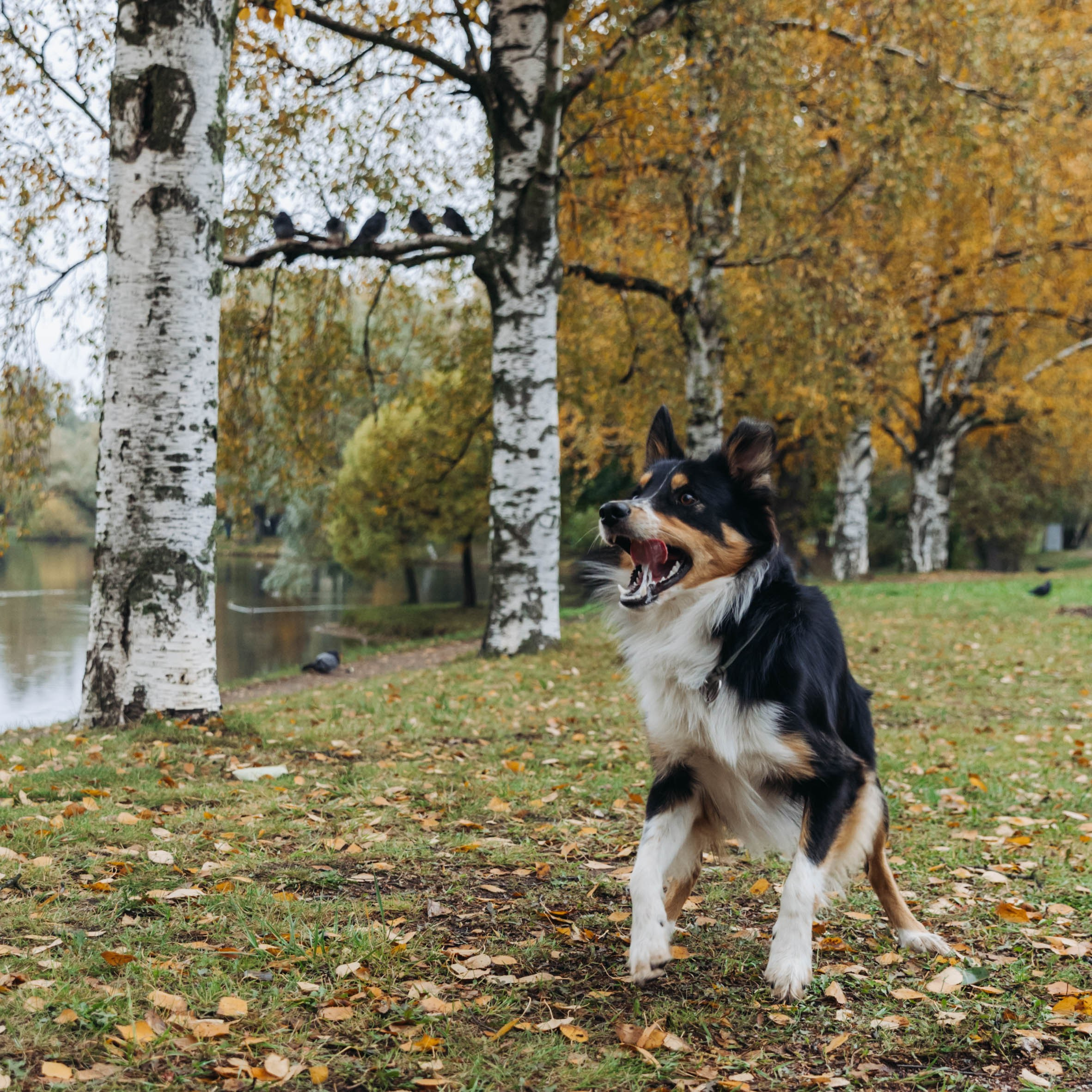 Вольт. Свадебный и семейный фотограф в Санкт-Петербурге Лолита Евстифеева