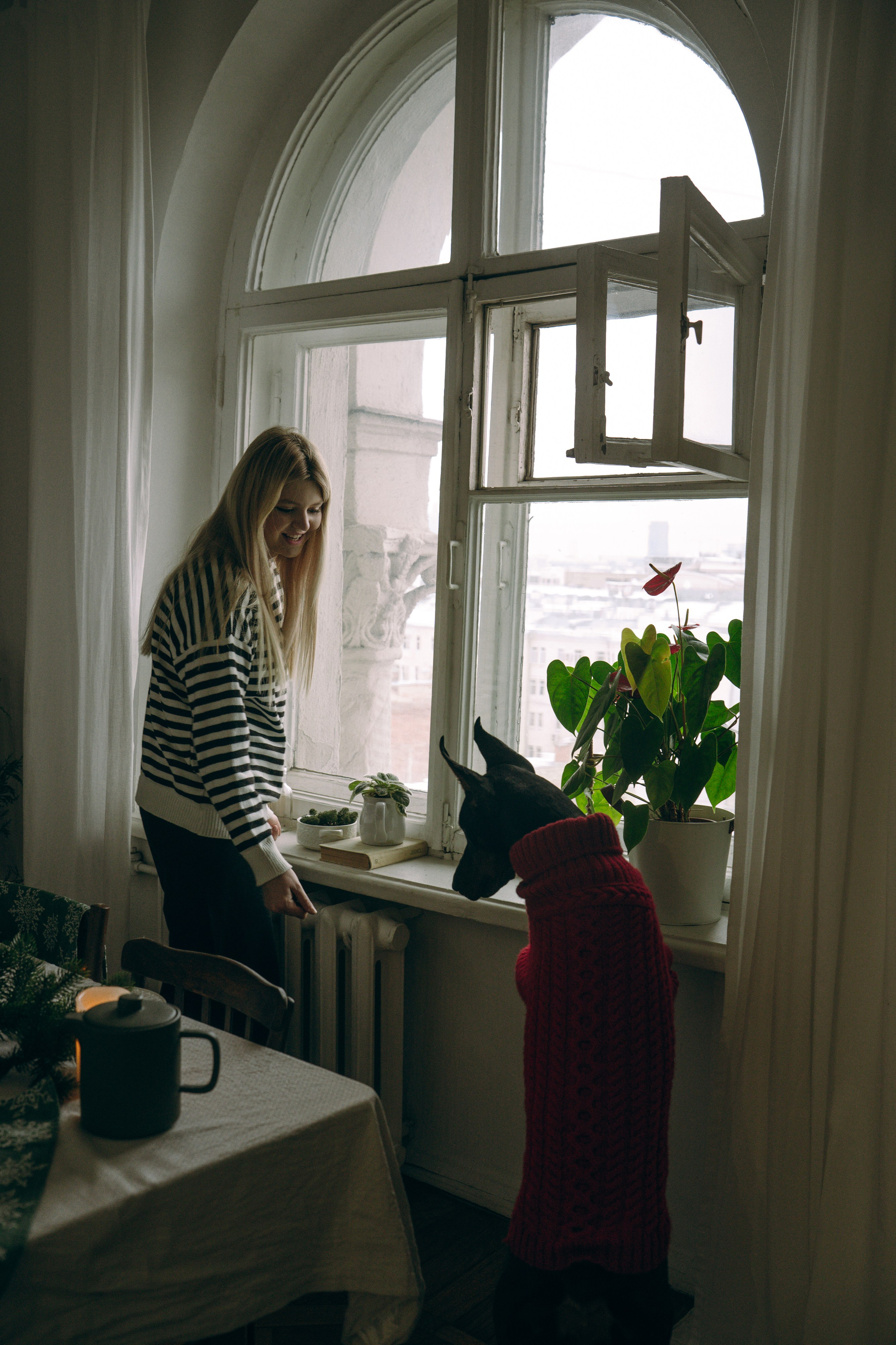 Саша и Асти. Фотограф анималист в Москве и Санкт-Петербурге Свиридова Анна