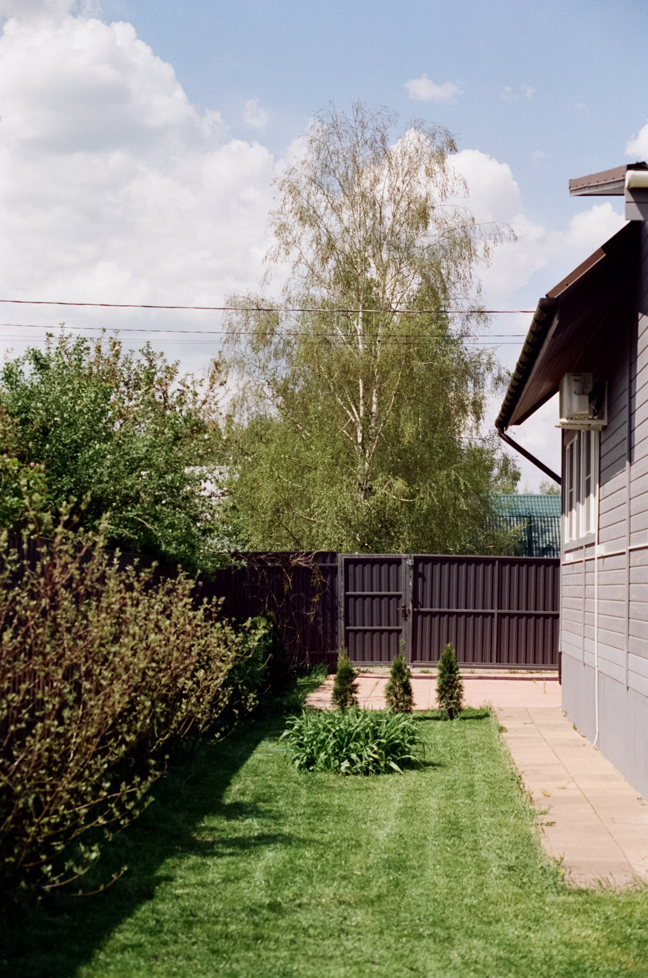 Nikon F100 — Micro-Nikkor-P.C Auto 55 mm f3.5 | май 2025 года | Давыдовское