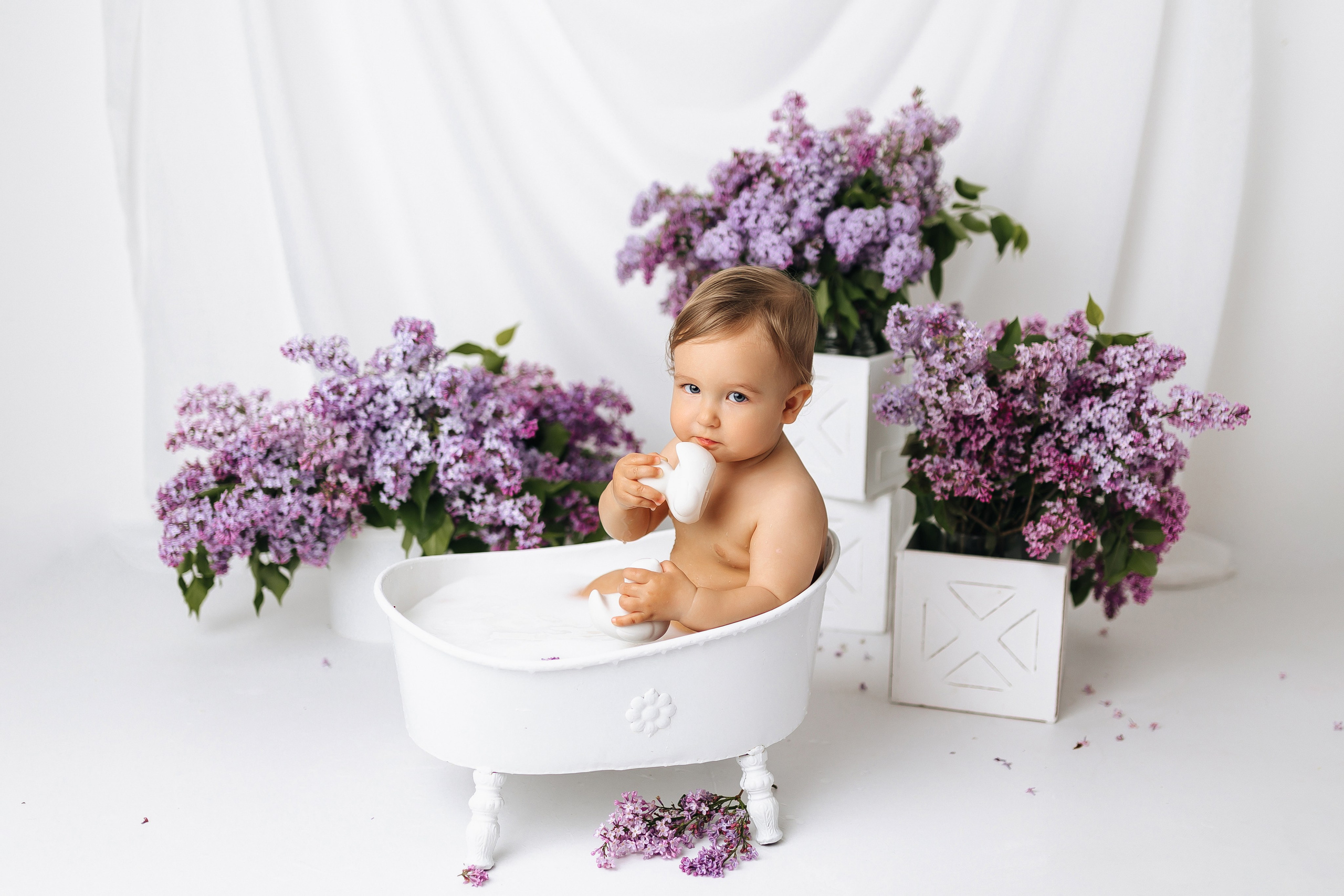 Сирень 2025. Фотограф новорожденных Серпухов, Протвино, Москва I Марина Бурмистрова