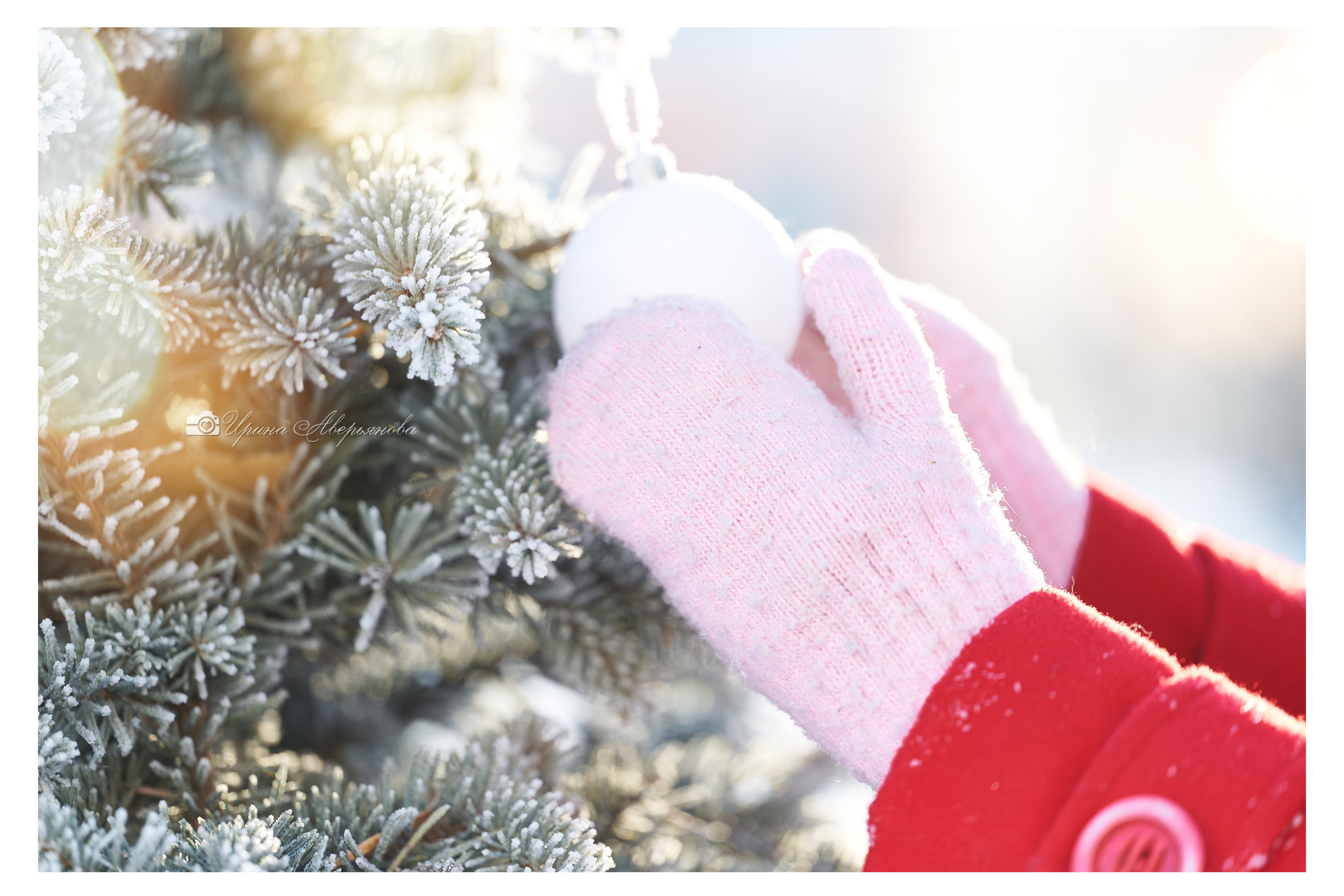 Фотограф в Ульяновске Ирина Аверьянова