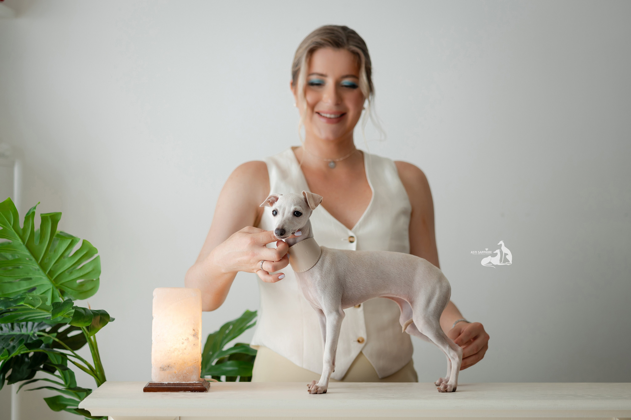 Чудесная шоу-девочка. Professional Italian Greyhound Kennel RKF/FCI ASTI SAPPHIRE 💎 Sochi|St. Petersburg
