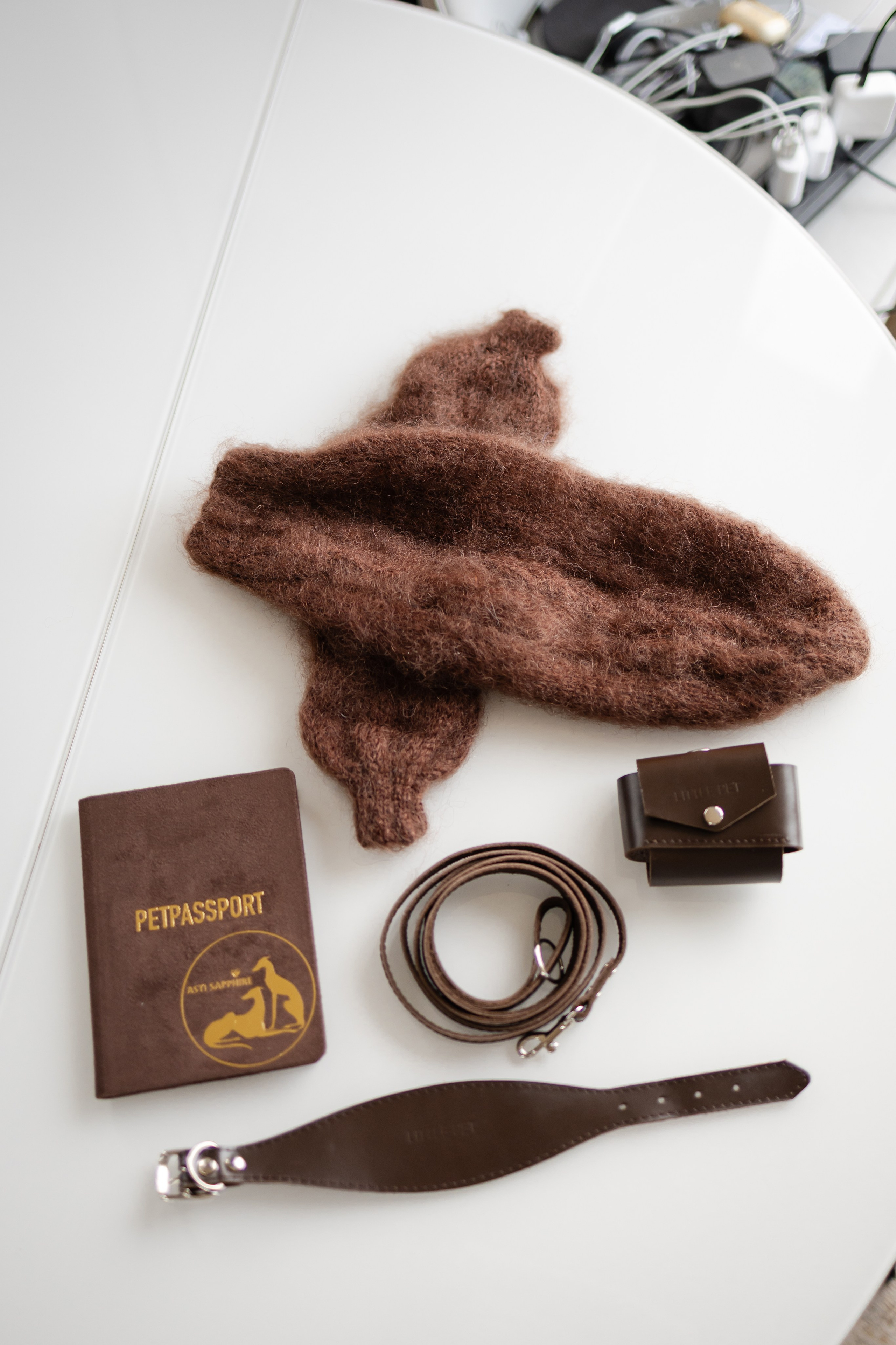 Прогулки. Профессиональный питомник левреток РКФ/FCI ASTI SAPPHIRE 💎 Сочи|Санкт-Петербург