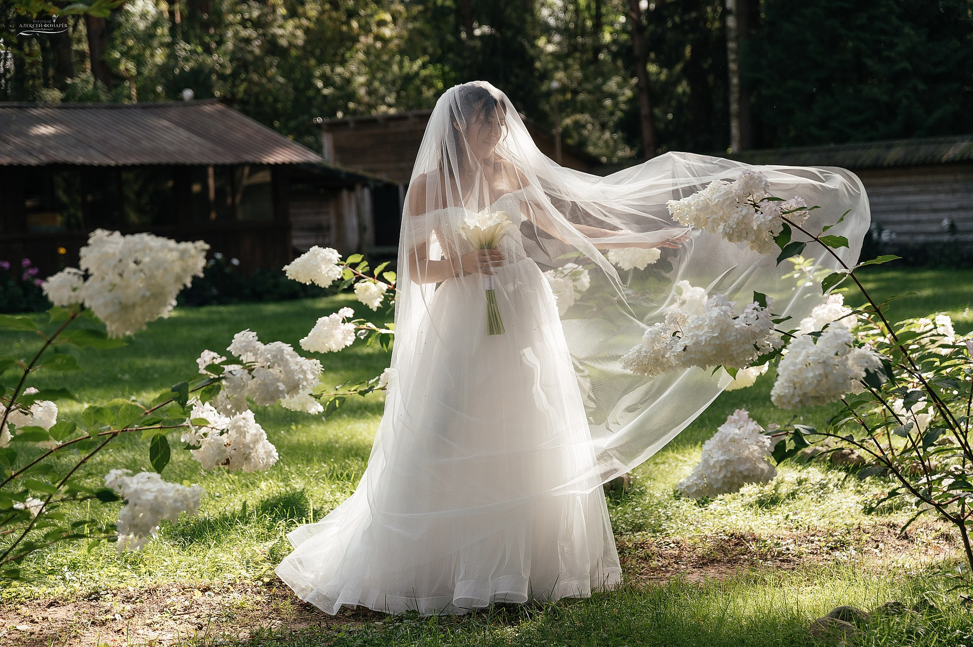 Свадебный фотограф не дорого. Свадебный фотограф в Дубне Алексей Фонарёв