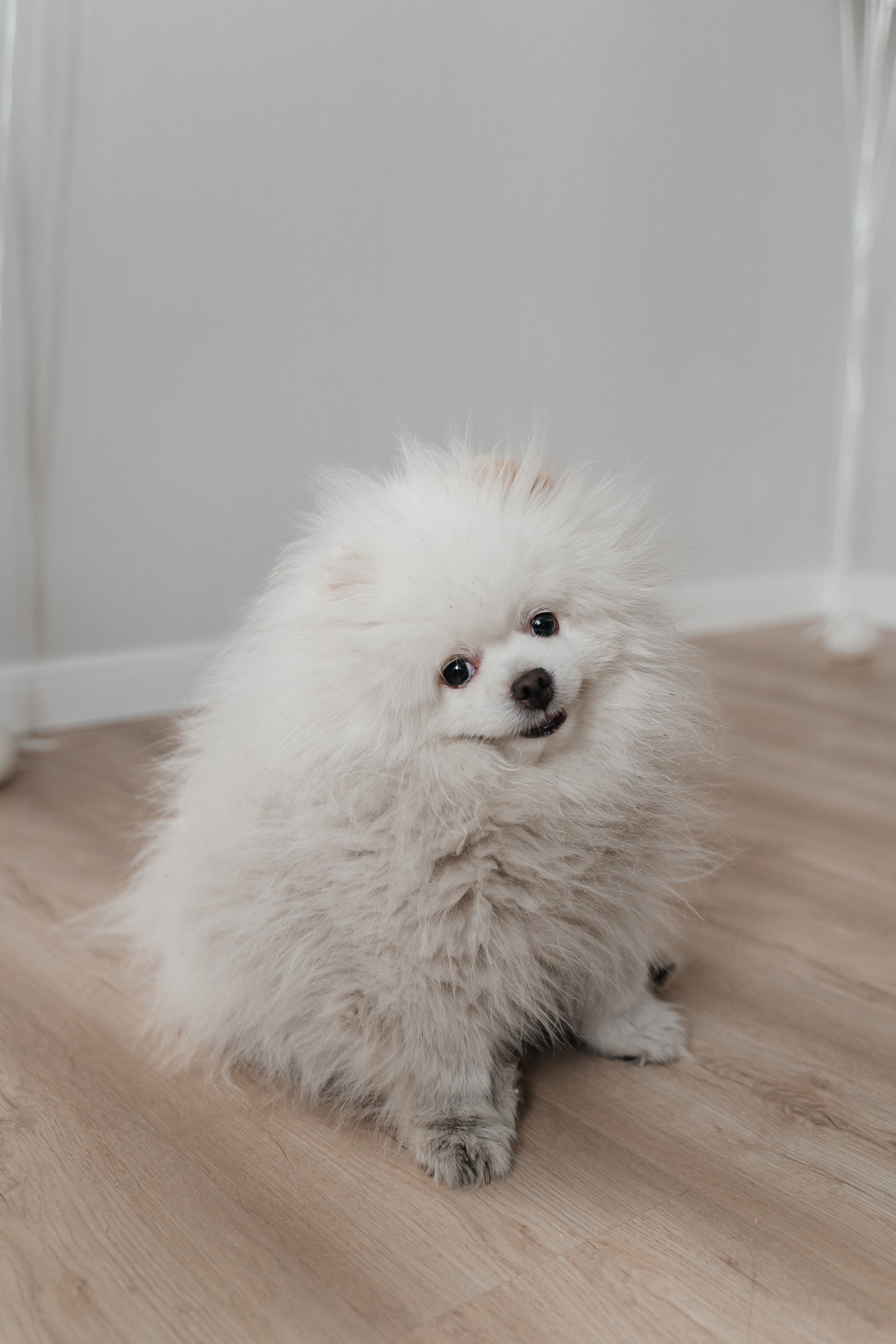 Денис, Настя и Платон. Волик Мария