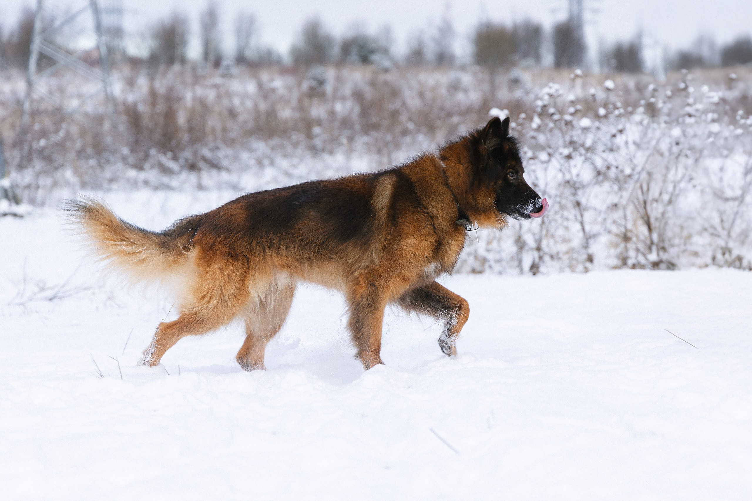 Пиар. Фотограф Ирина Астор