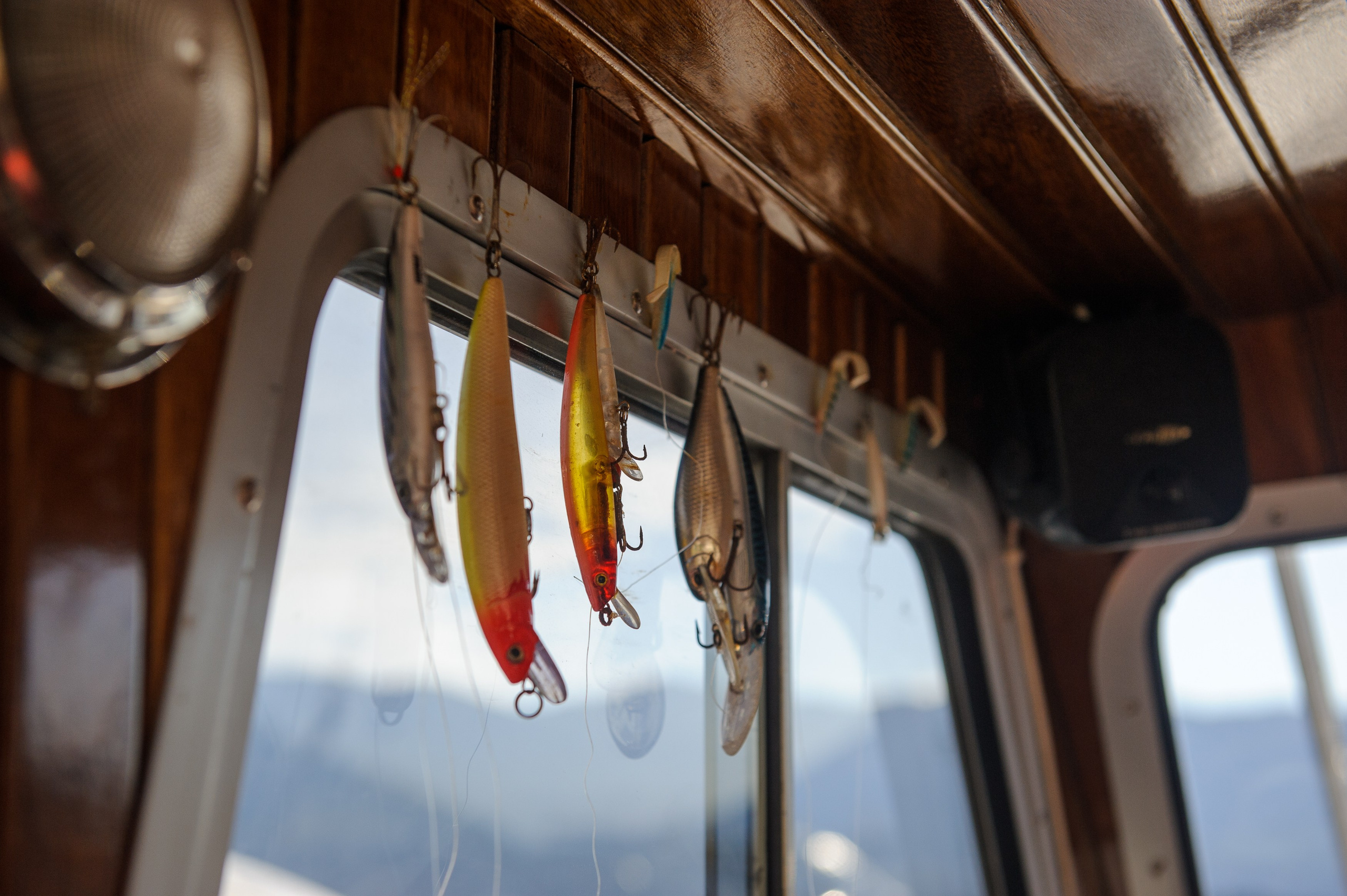 Корпоратив на рыбалке. Фотограф Елена Снегирева. Семейный фотограф в Москве Елена Снегирева