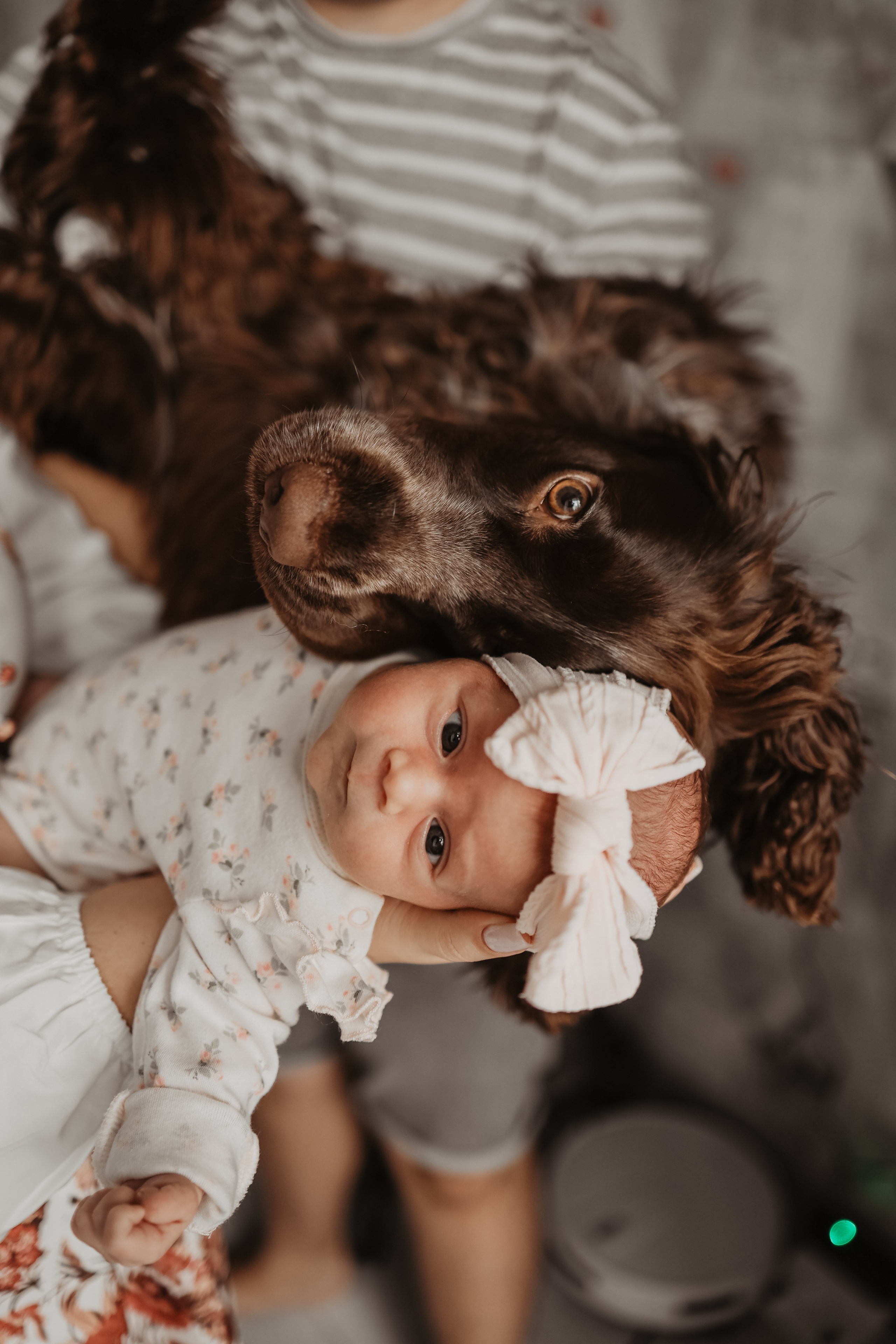 Дети. Фотограф и видеограф в Москве Полина Абраменкова