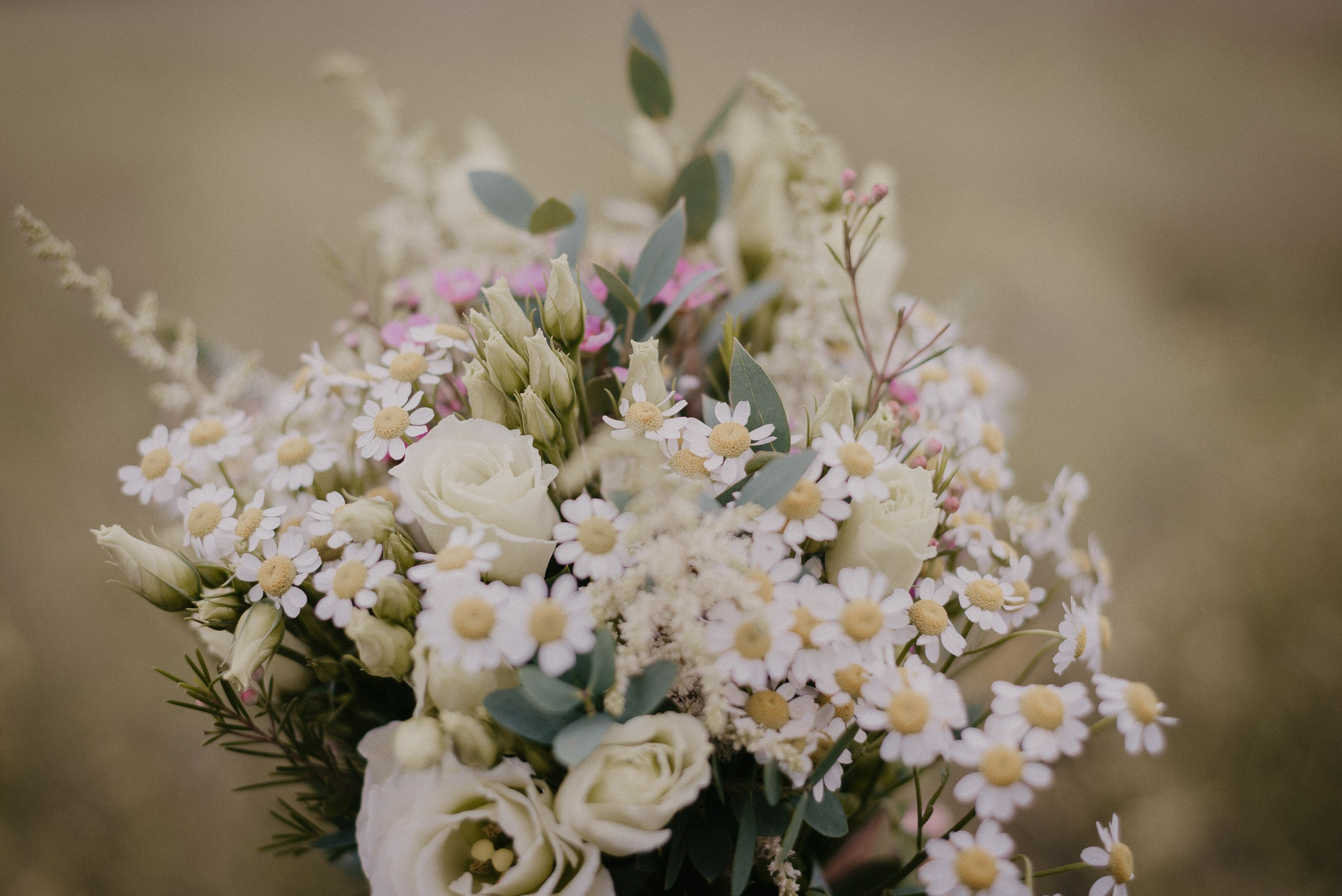 Stas + Lusine. Фотограф/видеомейкер в Минске, Москве, Витебске, видеосьемка
