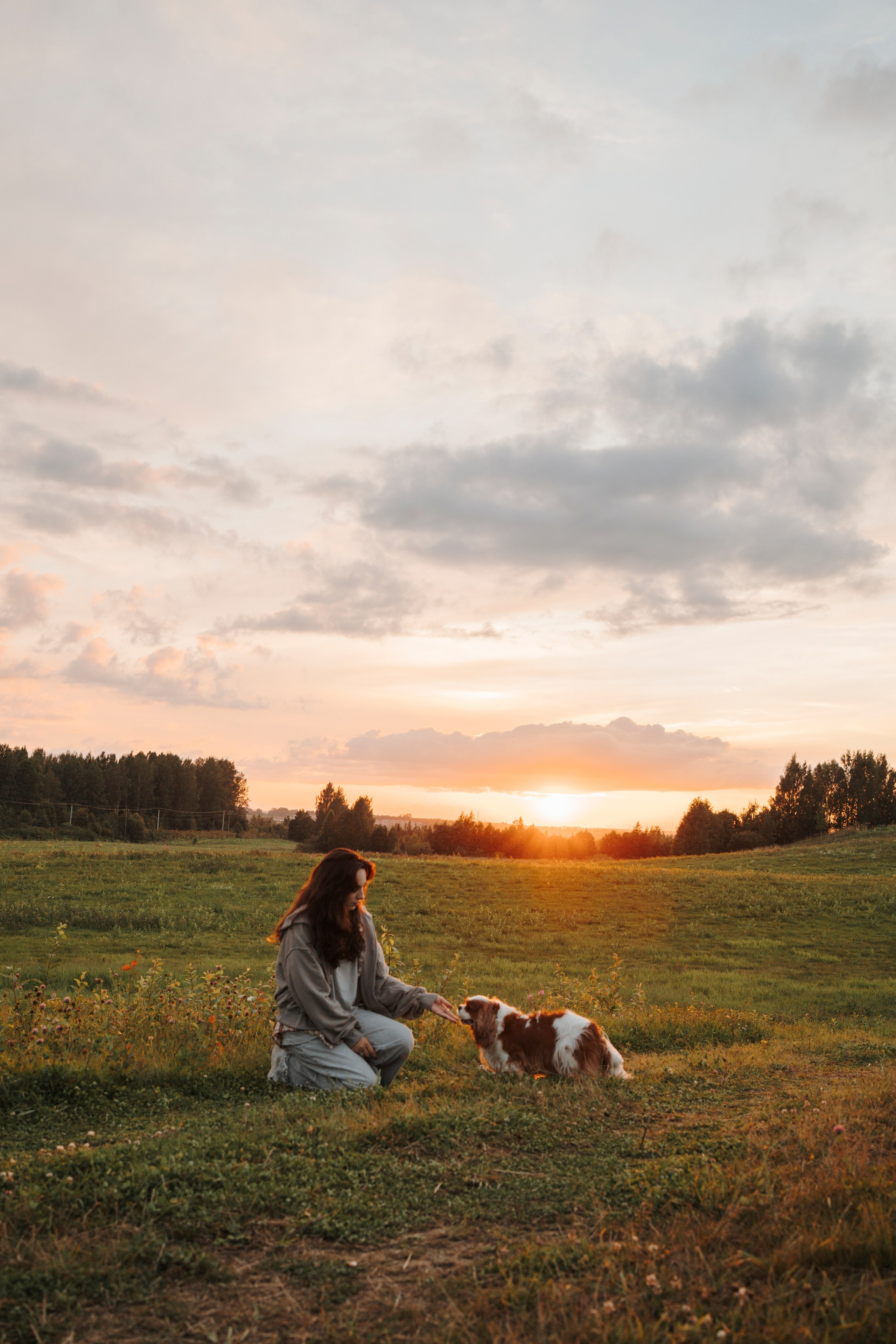 На закате Катерина, Луна и Рикки. Фотограф-анималист в Санкт-Петеребурге Титова Алиса