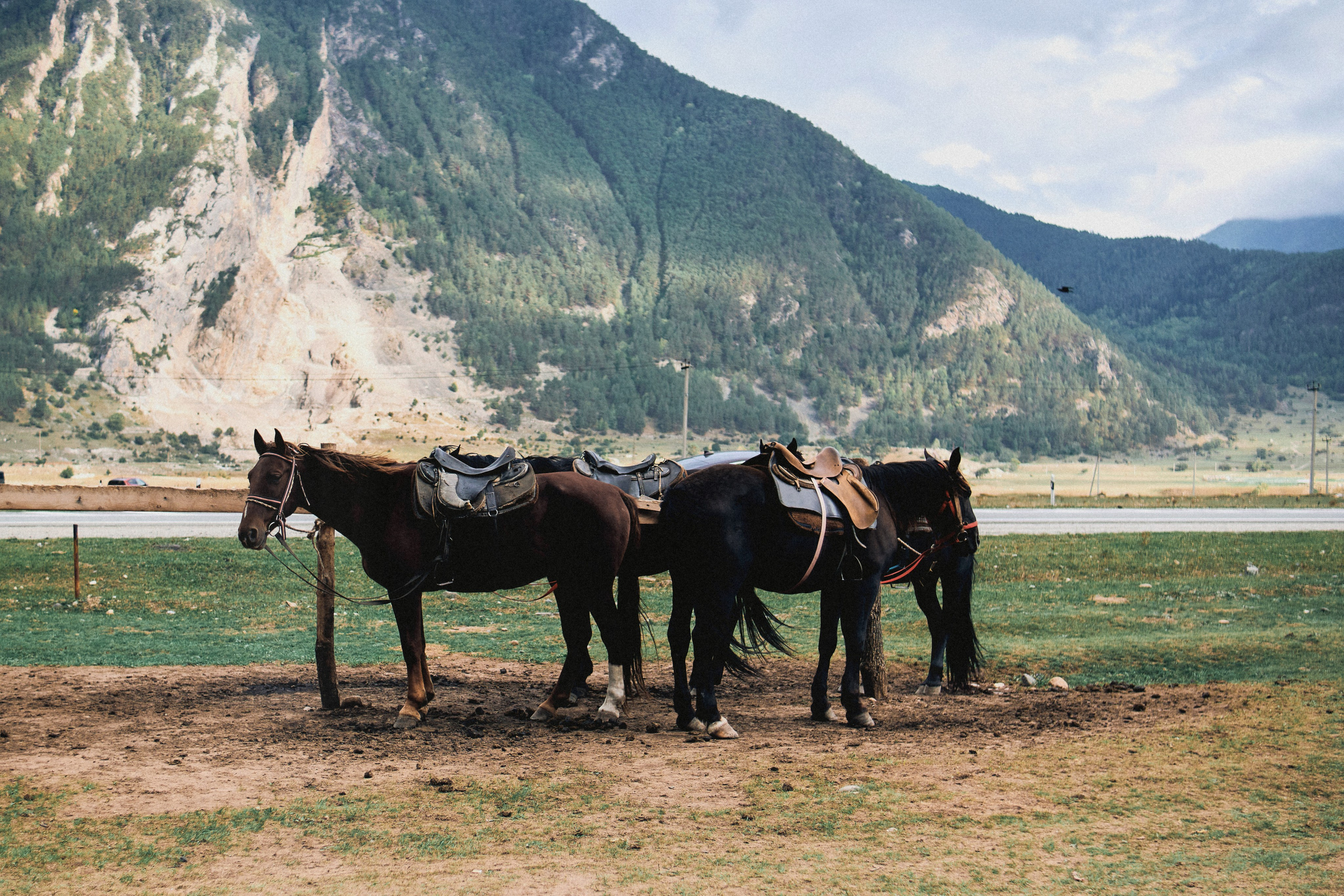 Kavkaz. SHILOVA PHOTO. Шилова Екатерина. Фотограф. Москва