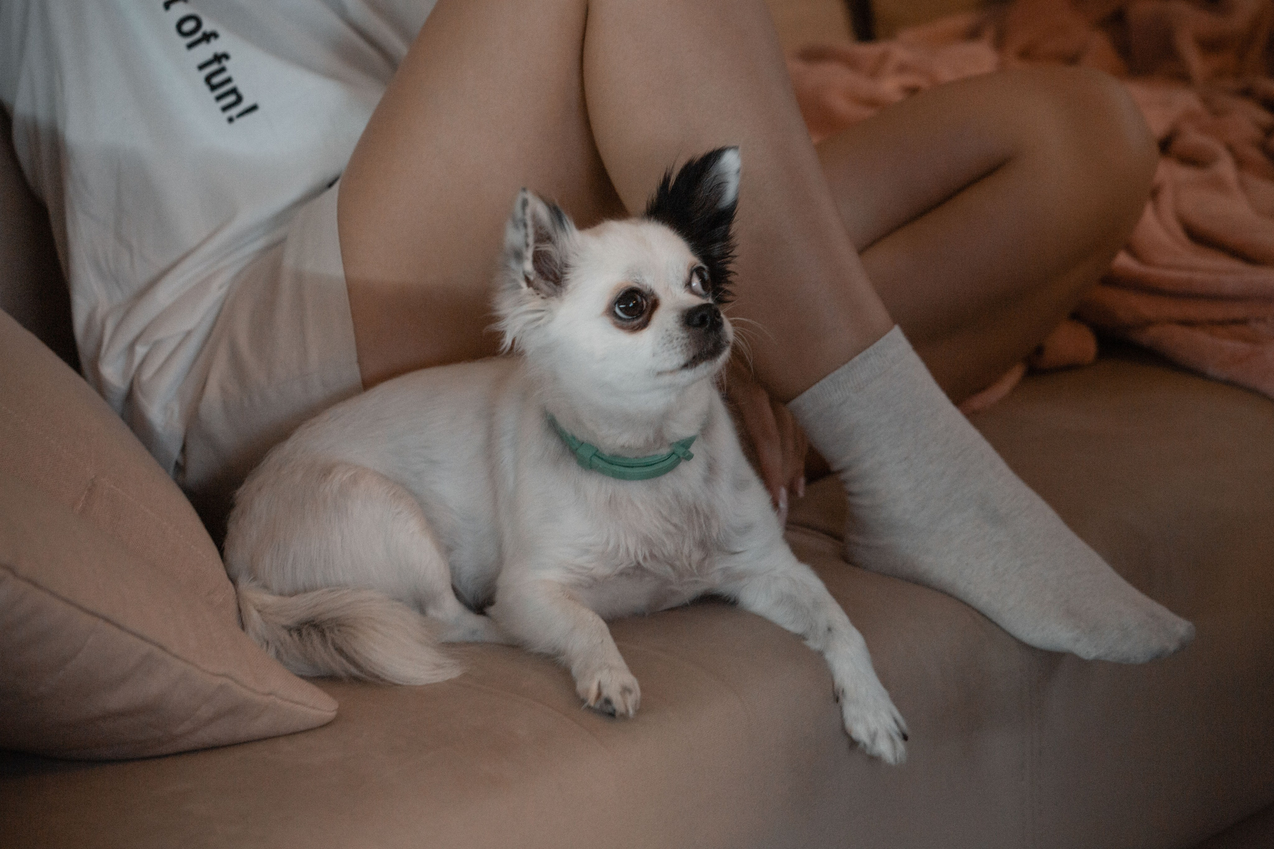 Лера и Максим. Фотограф Виктория Куприянова