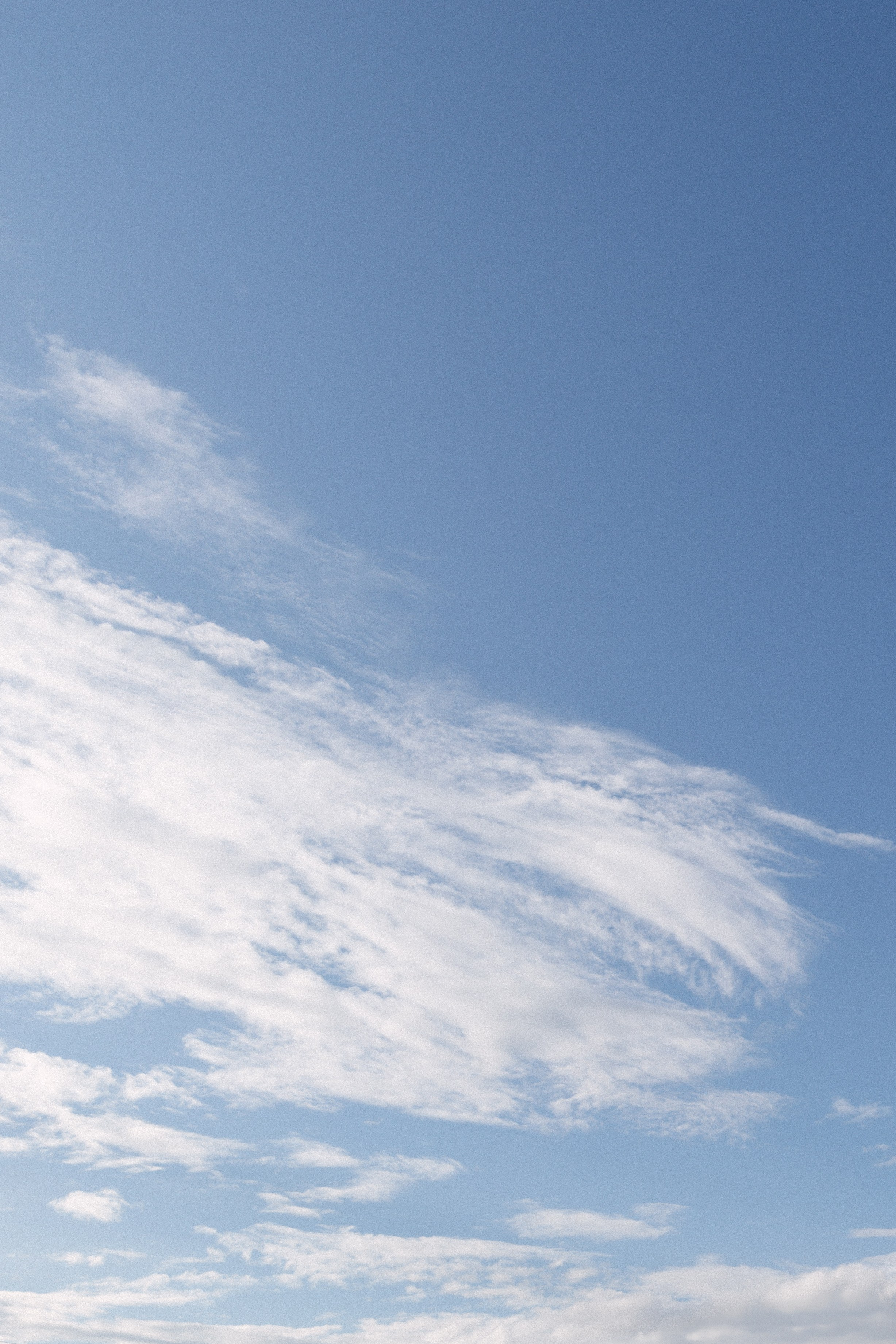 Это по любви. Свадебный фотограф |Орел|Москва Анна Плешкова