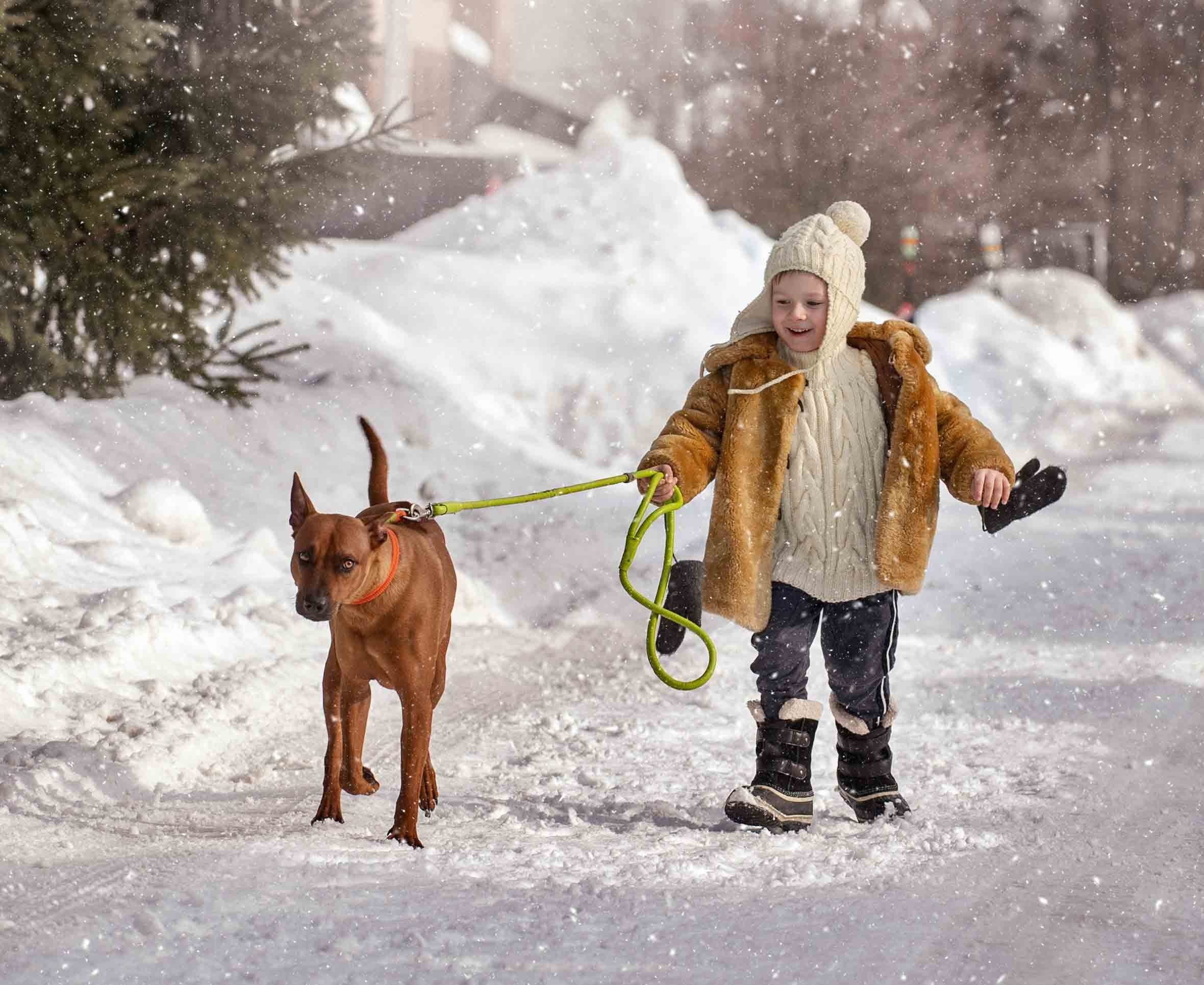 Фото с домашними питомцами. Портретная и свадебная фотосъемка. Москва и область