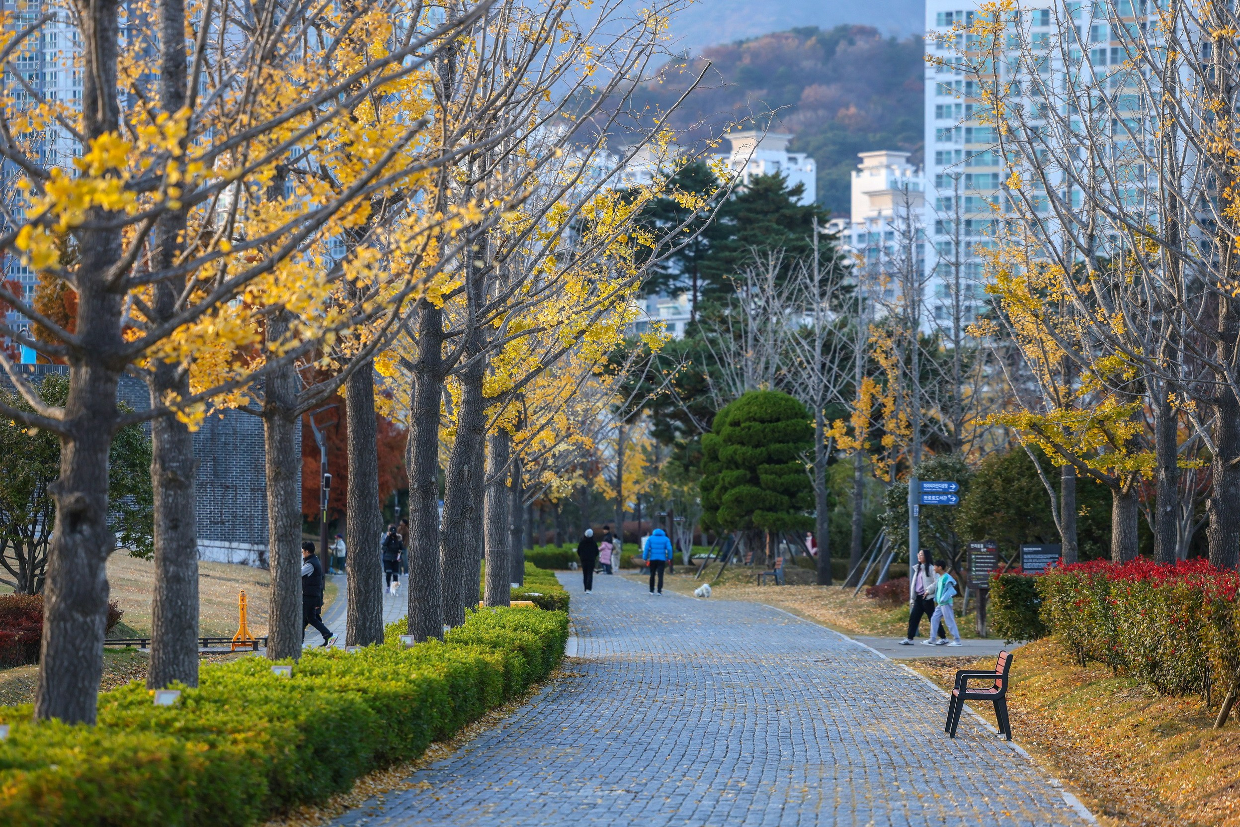 Общественные пространства. Ландшафтный фотограф Андрей Лысиков, Москва