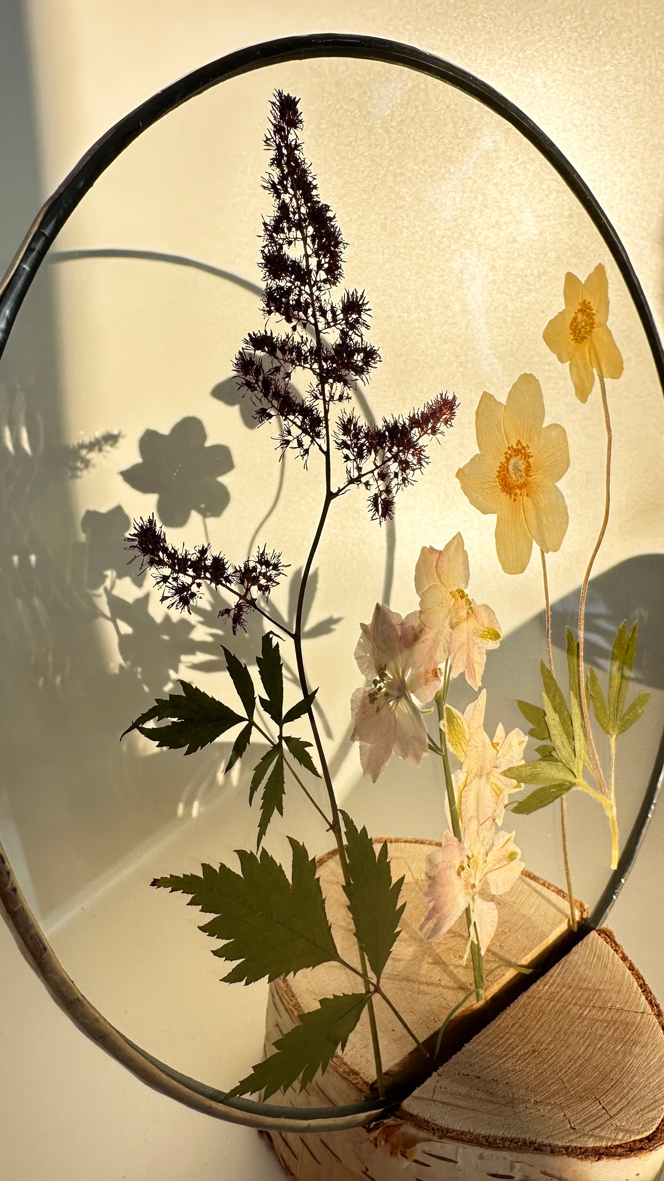 Гербарий в стекле с сухоцветами (витраж в технике тиффани). Гербарий в стекле, интерьерные панно, витражи с сухоцветами в технике тиффани