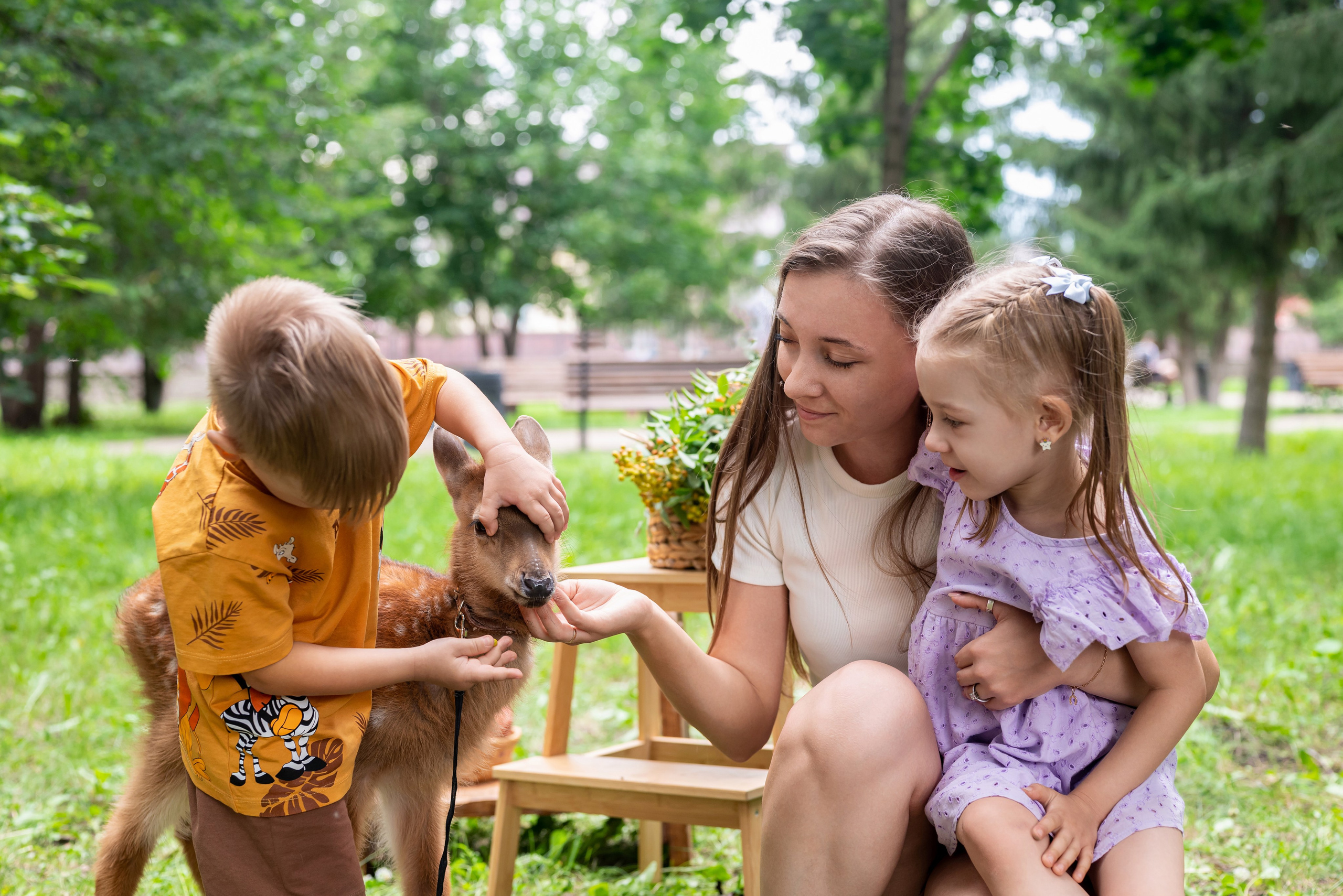 Фотопроект *Оленёнок Бэмби*. Фотограф в городе Салават