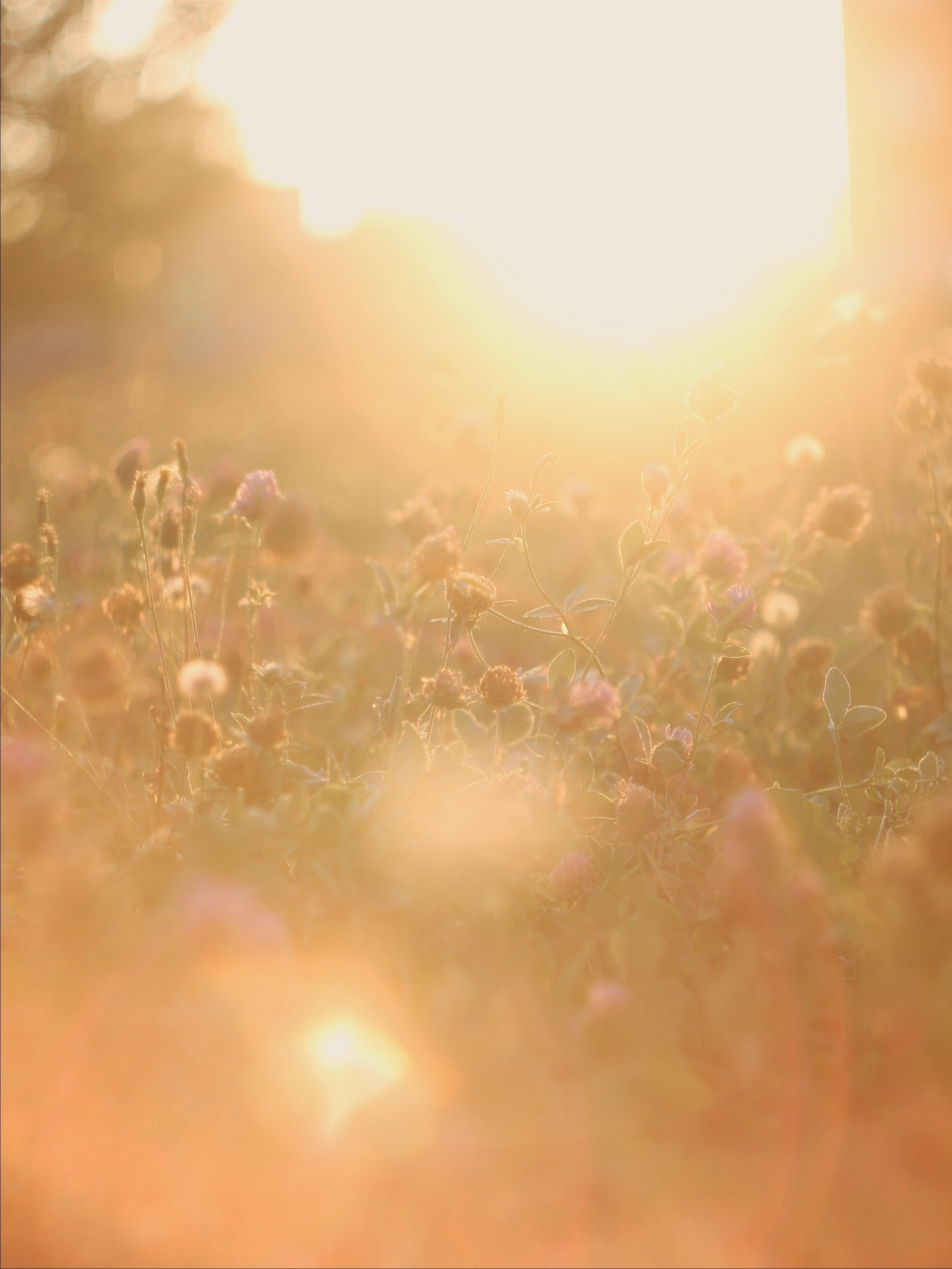 Эфемерность моментов. С любовью, фотохудожник