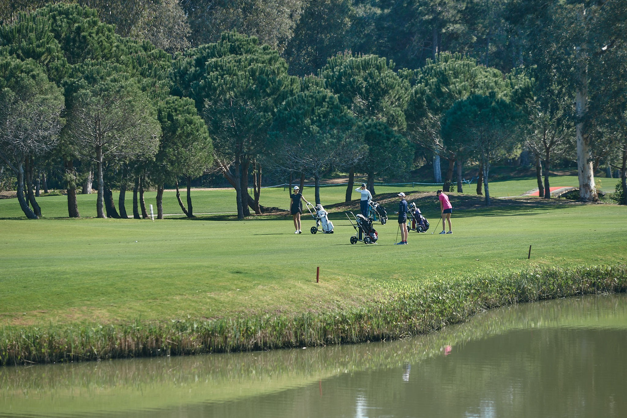 Turkey 2024. Академия гольфа NSU в Москве. Тренировки по гольфу для детей и взрослых, тренировки для новичков