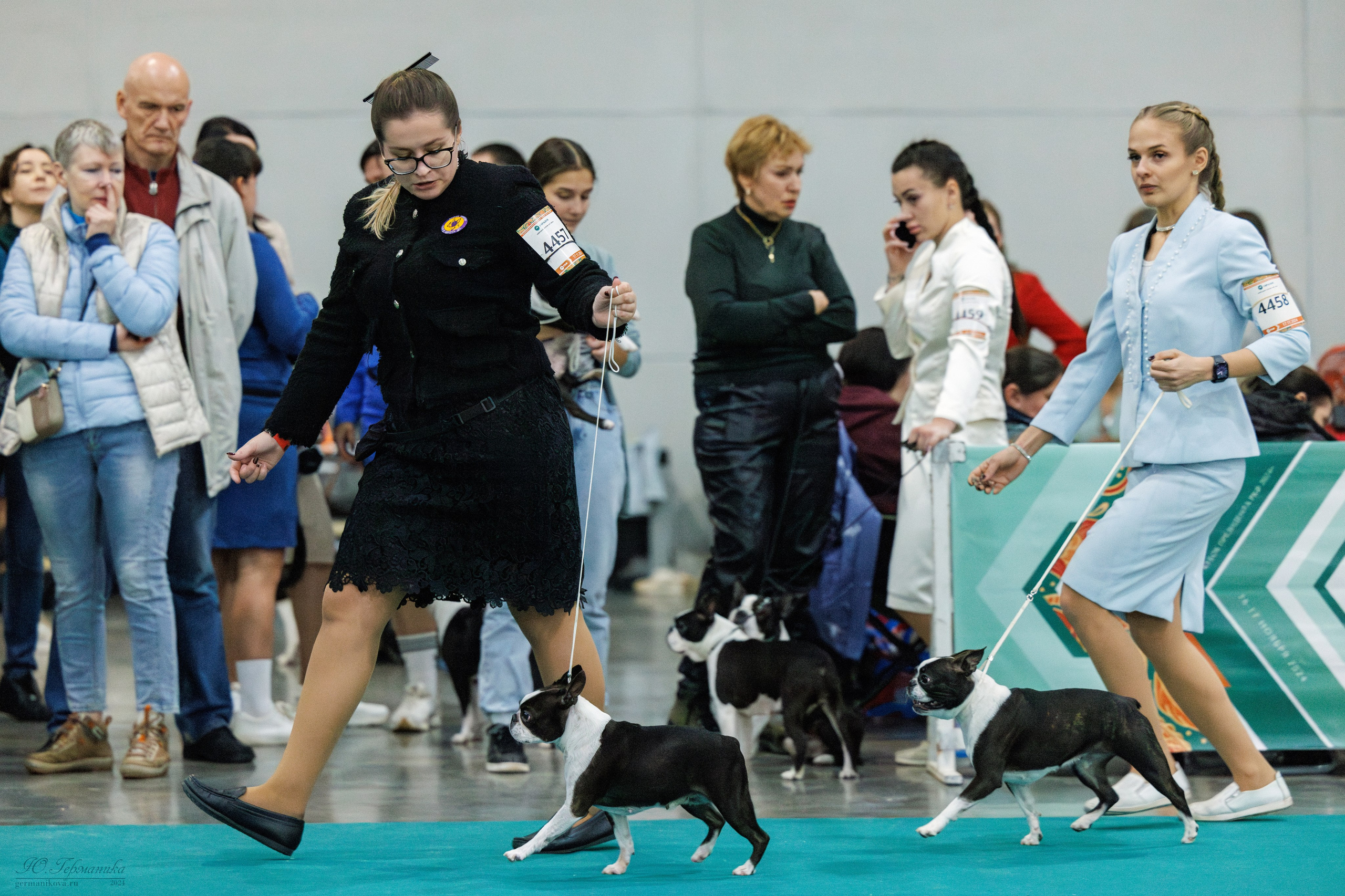 Евразия 16-17.11.2024. Фотограф-анималист Юлия Германика