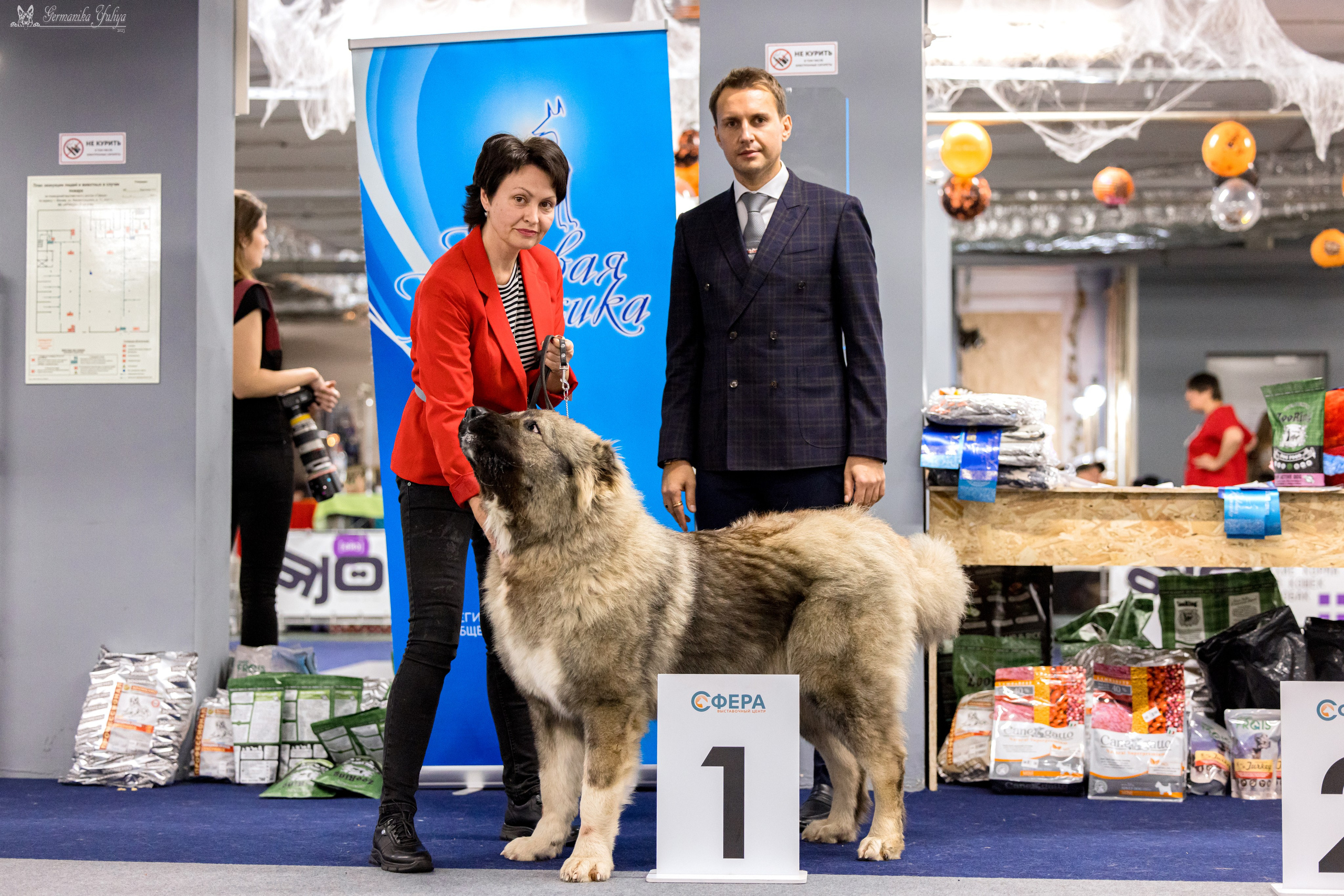 Сфера 29.10,Крокус 4.11,Сфера 12.11.2023. Фотограф-анималист Юлия Германика