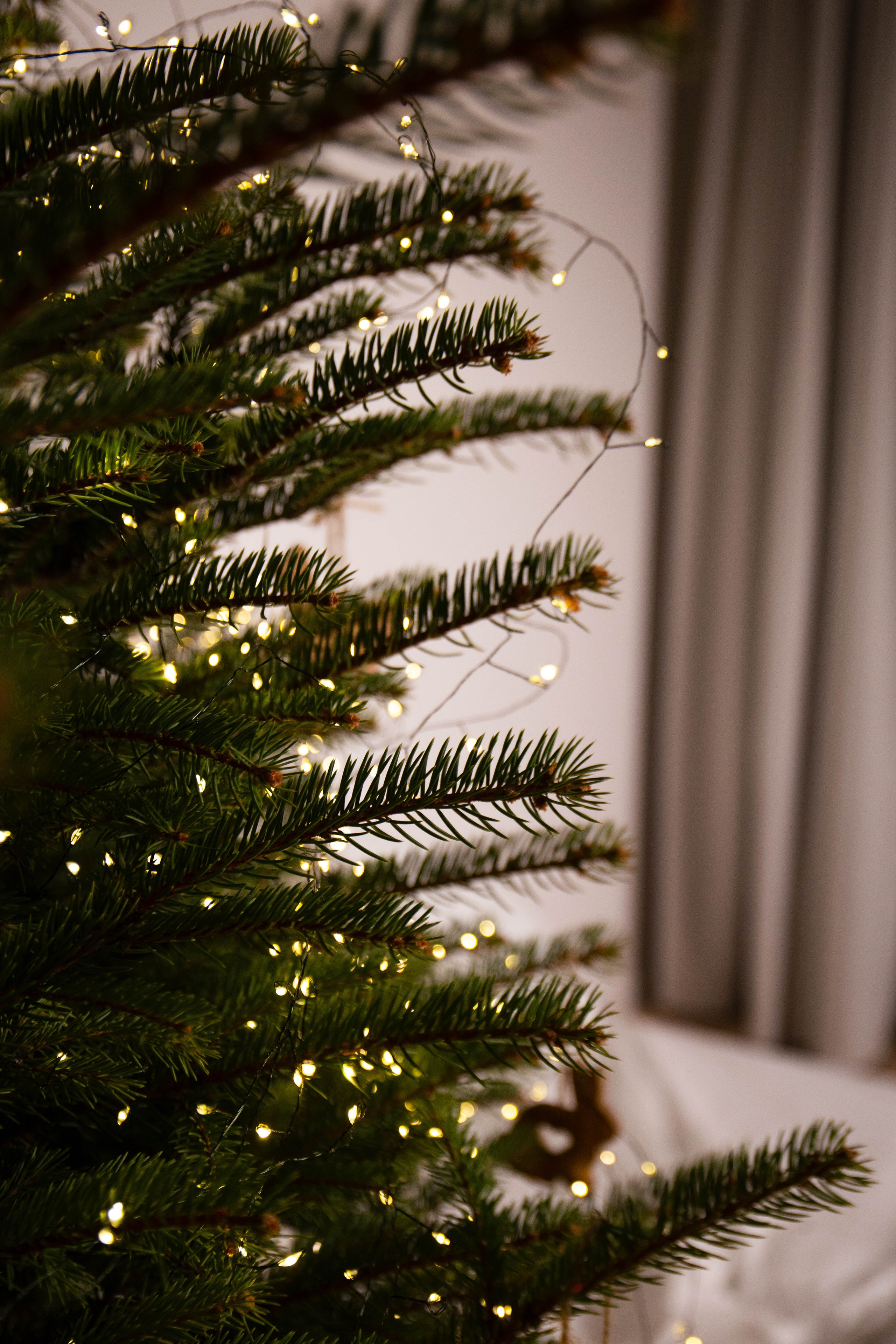 Маша. Семейный фотограф Софи Симакова в Волгограде и Волжском