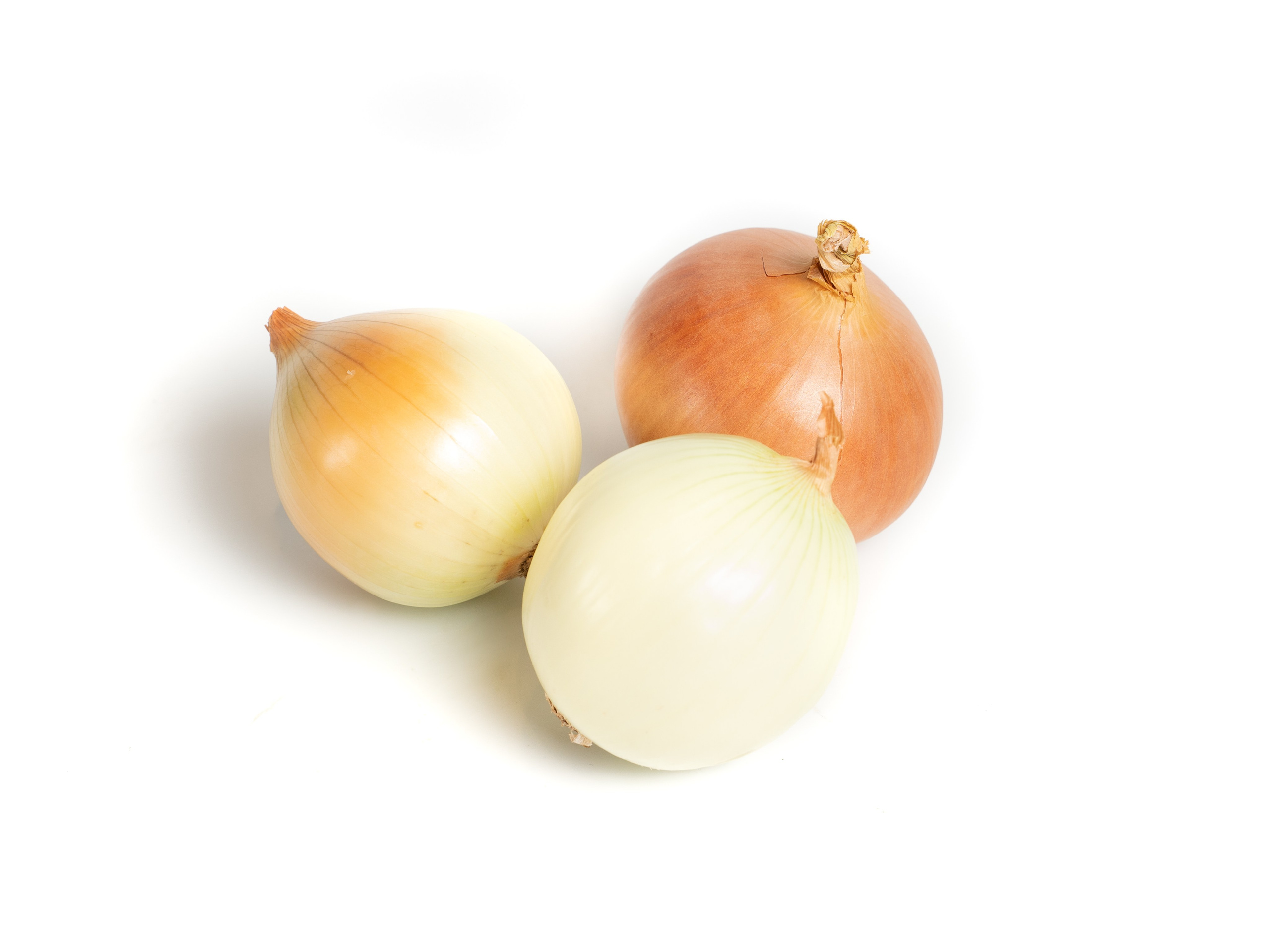 Яндекс Маркет. Предметный и фуд-фотограф в Москве Анна Царенко