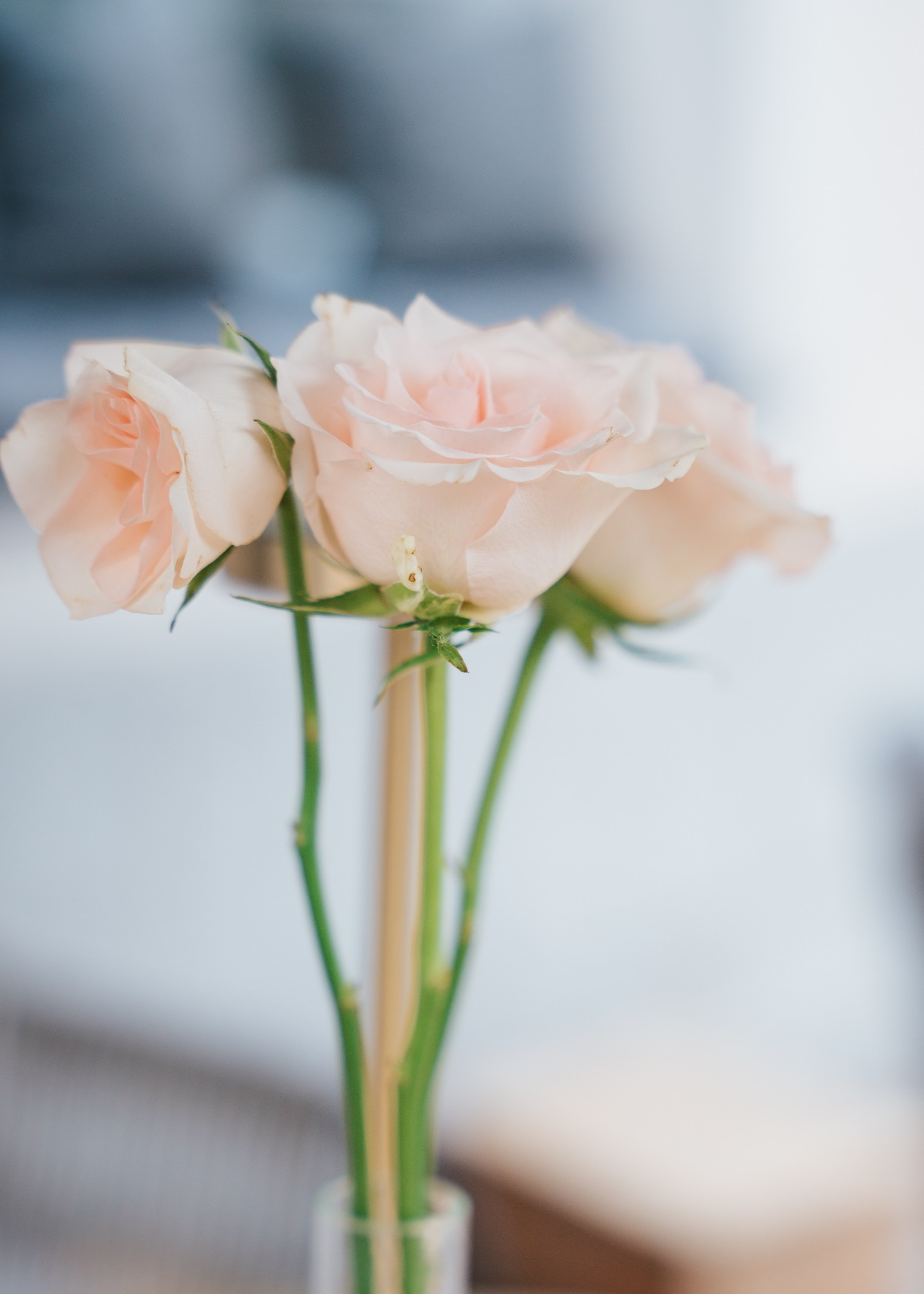 Pasta na Bare. Фотограф Хабаровск