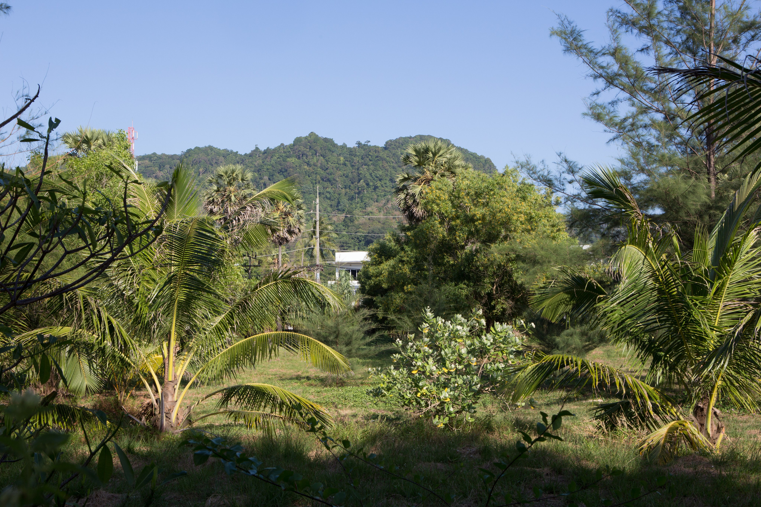 Фото Тайланда. Студия Максима Белослюдцева