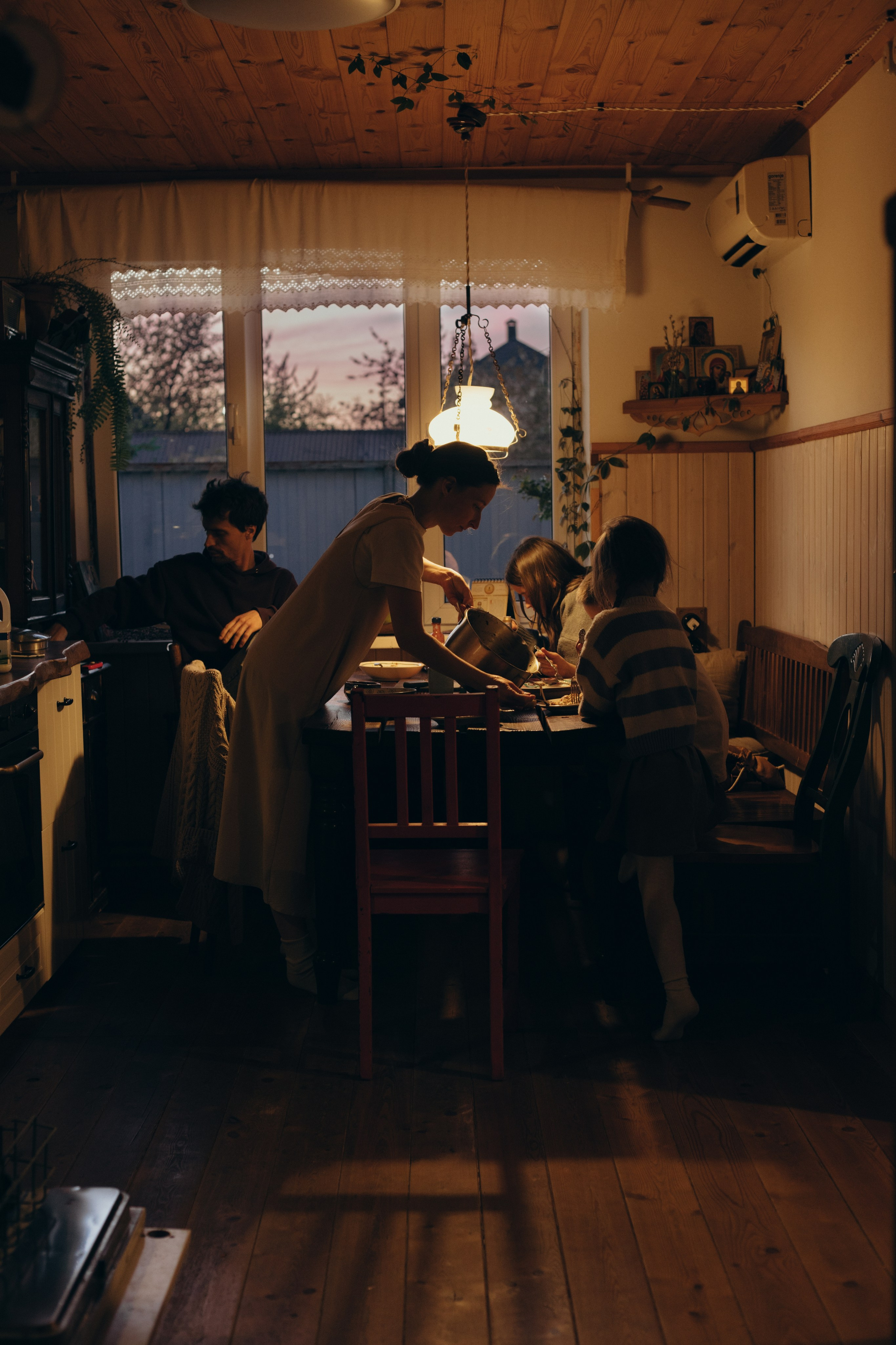 Домашняя история. Meryfotoidea