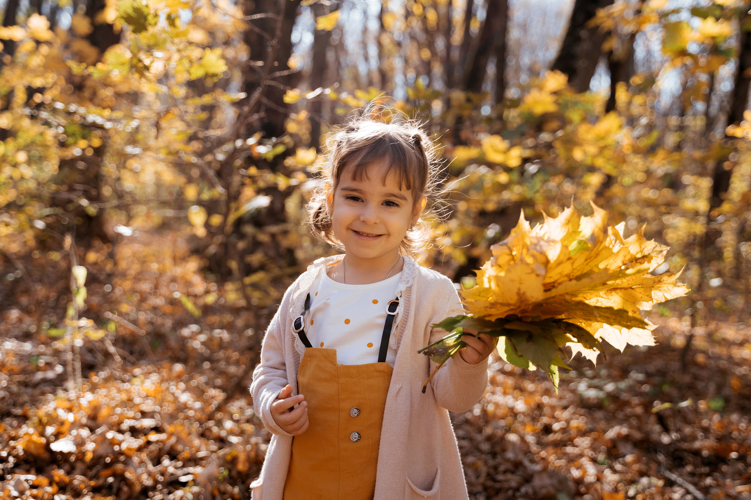 Осень. Фотограф Ларионова Надежда|Ставрополь