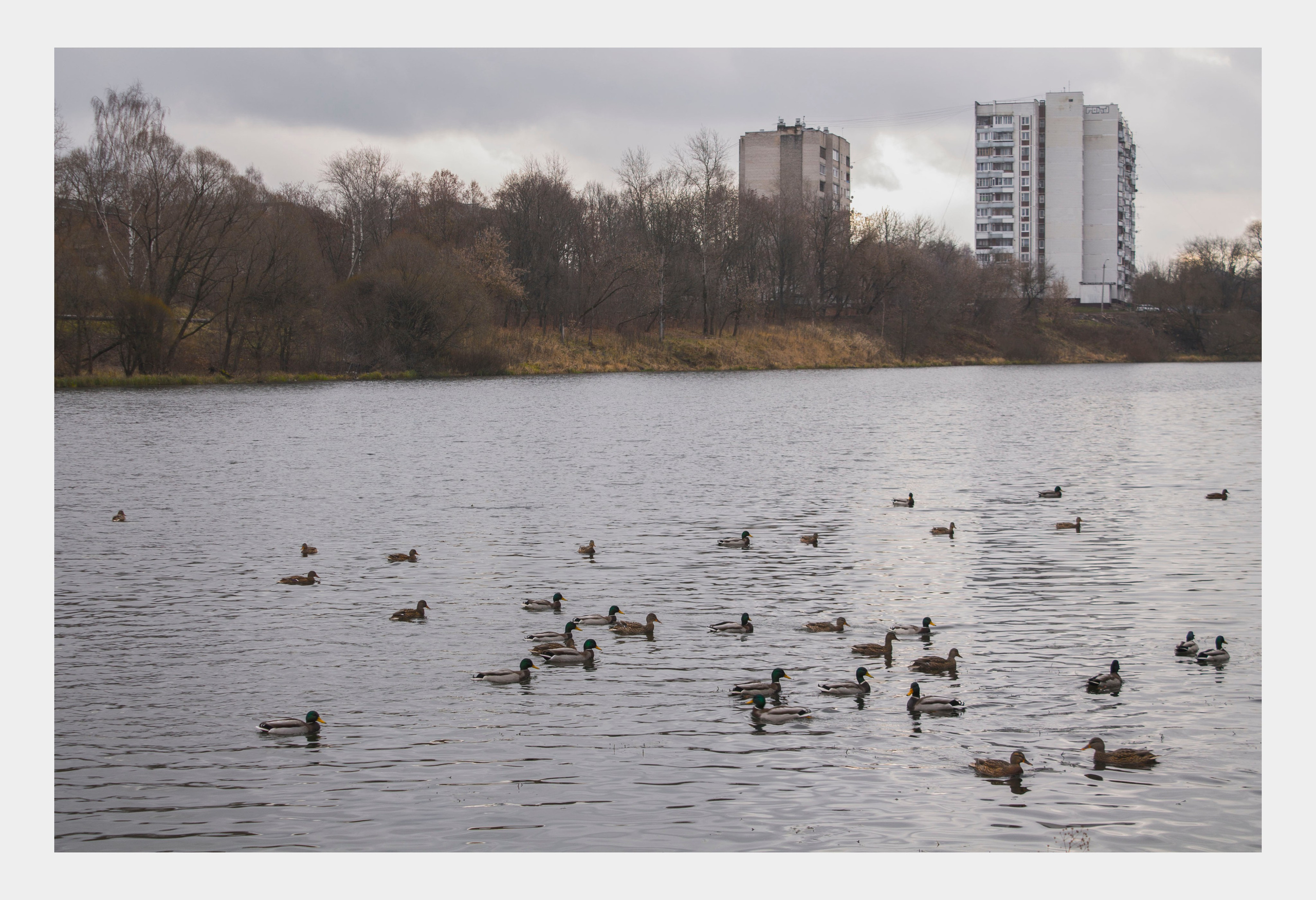 Мои первые работы. Фотограф из Москвы — DASHA NOVA | Авторская фотография в разных жанрах