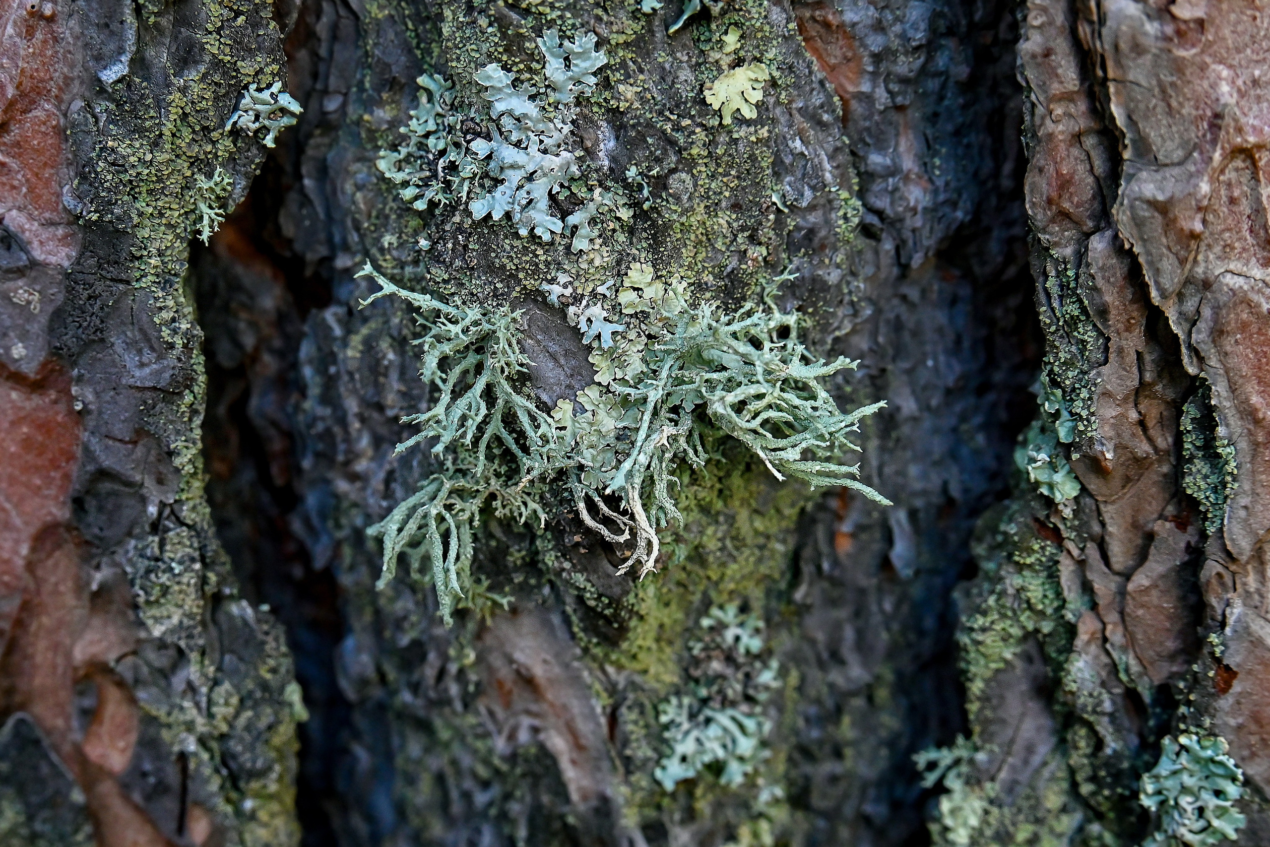 Осень. FotoGraf