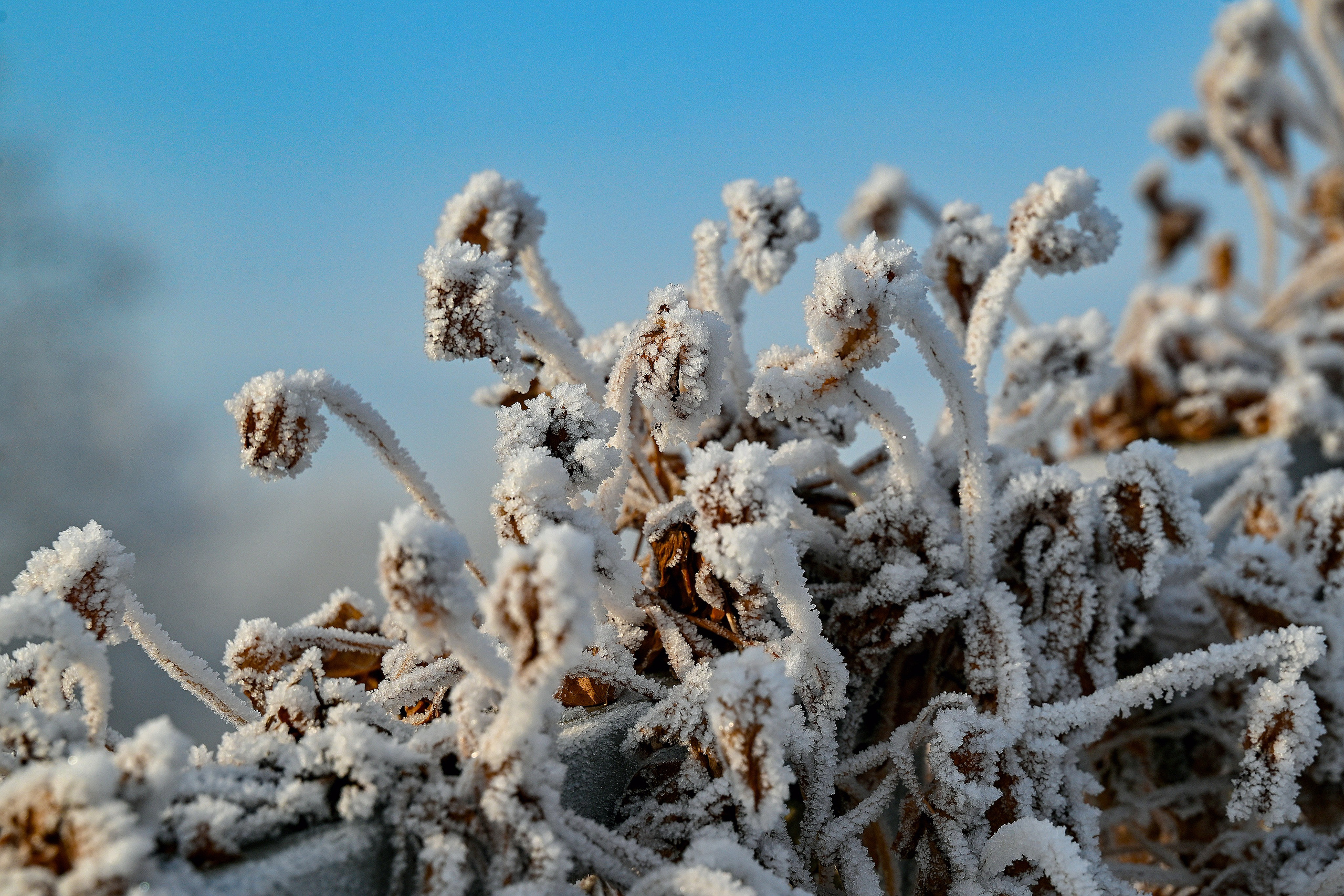 Сибирская зима прекрасна!. FotoGraf