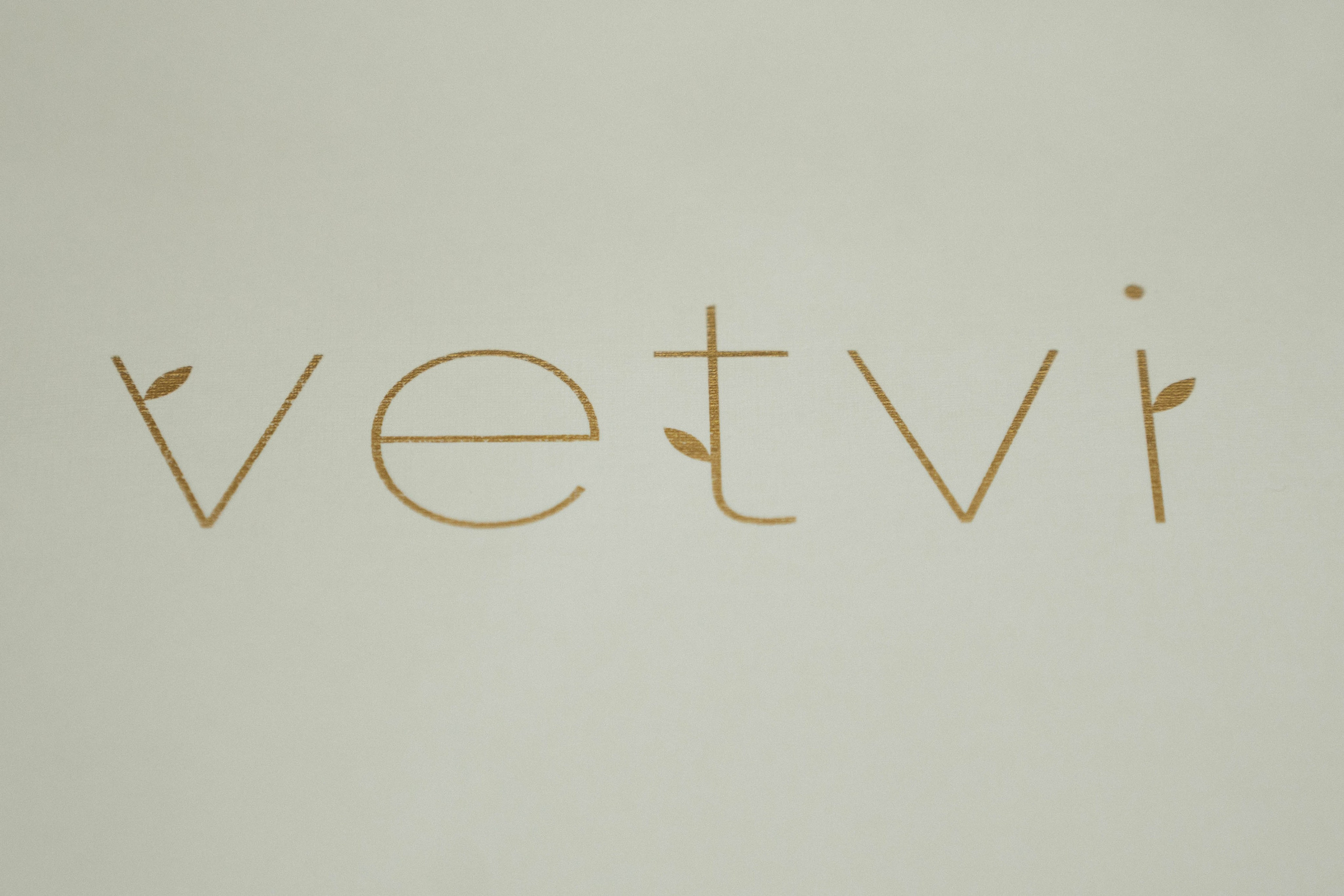 VETVI | Олег Клодт | ARTDOM. Свадебный фотограф Москва Александра Аверкова