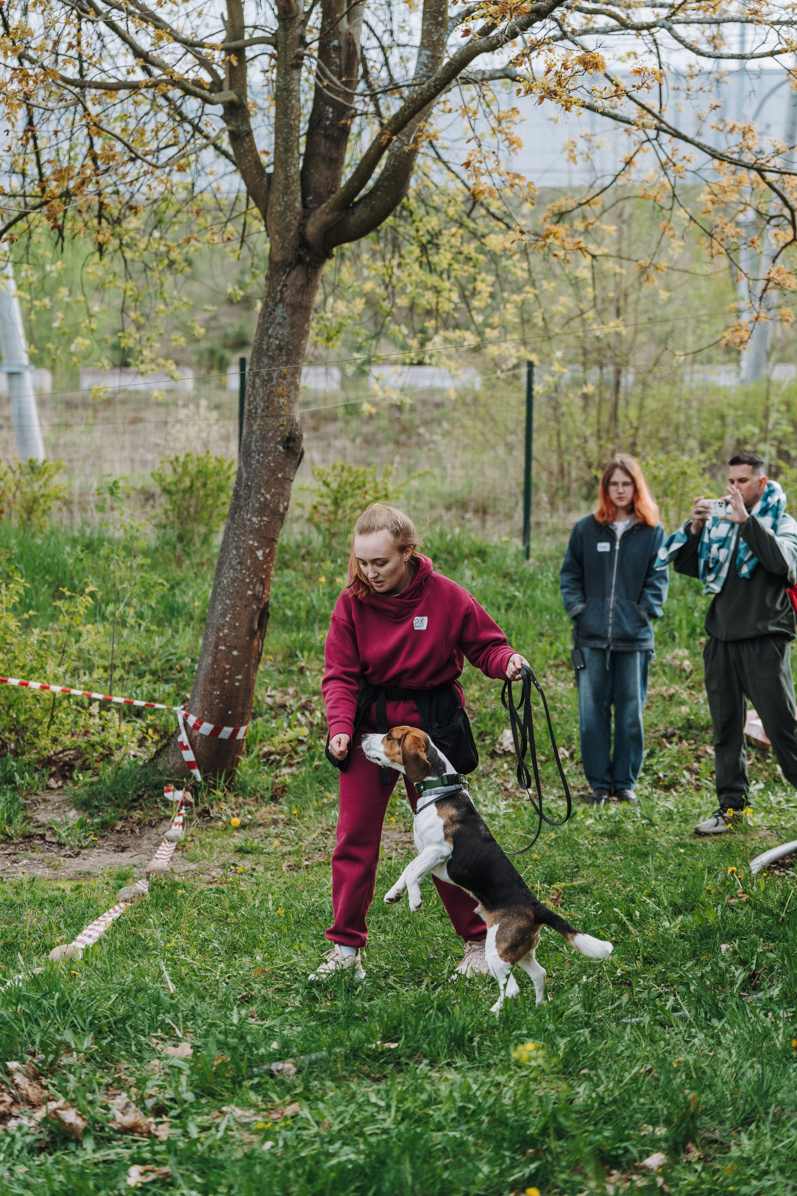 Соревнования по ноузворку в Лосево. Фотограф анималист в Спб недорого Олеся Майорова