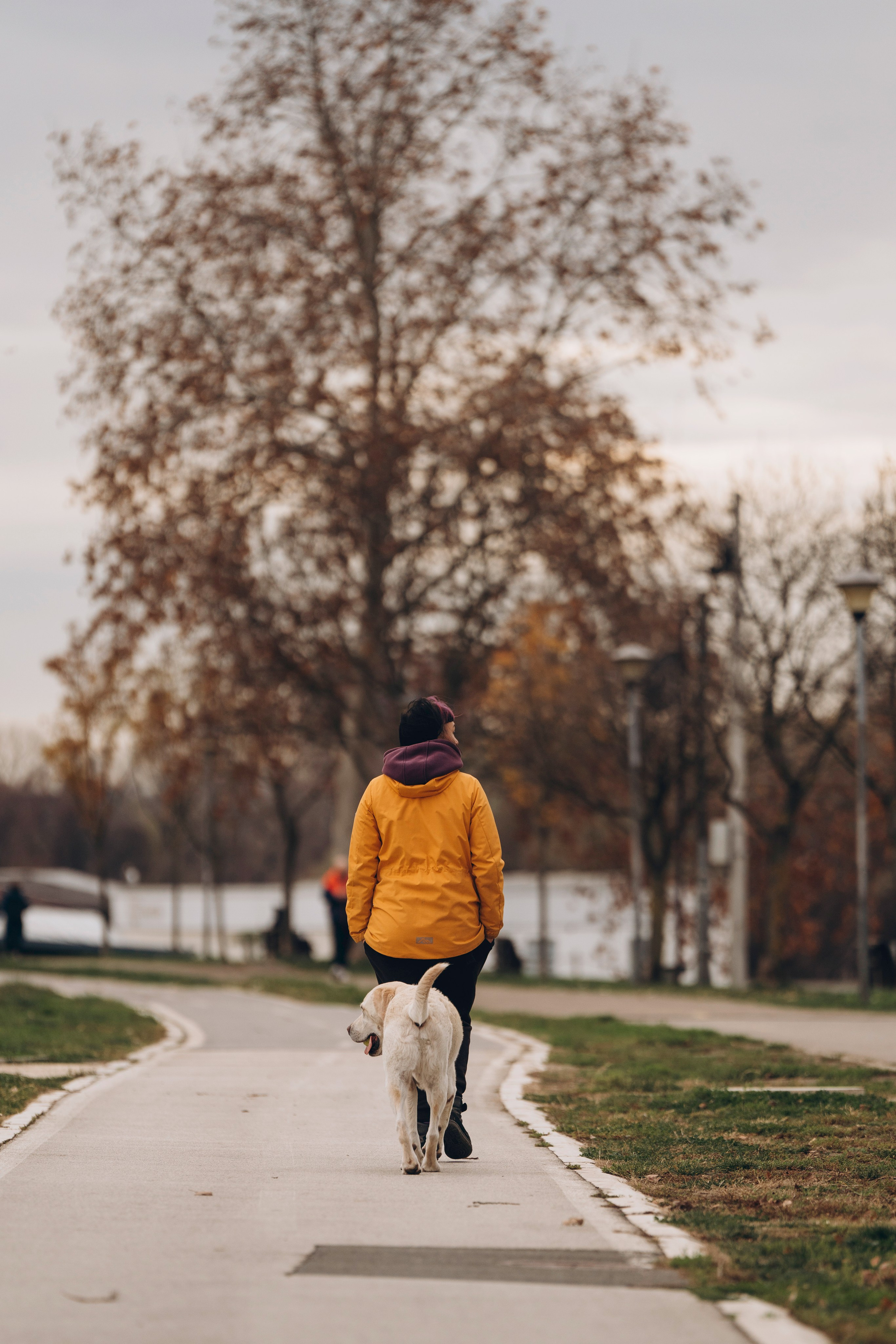 Вати, Лена и Леван. Фотограф анималист в Спб недорого Олеся Майорова