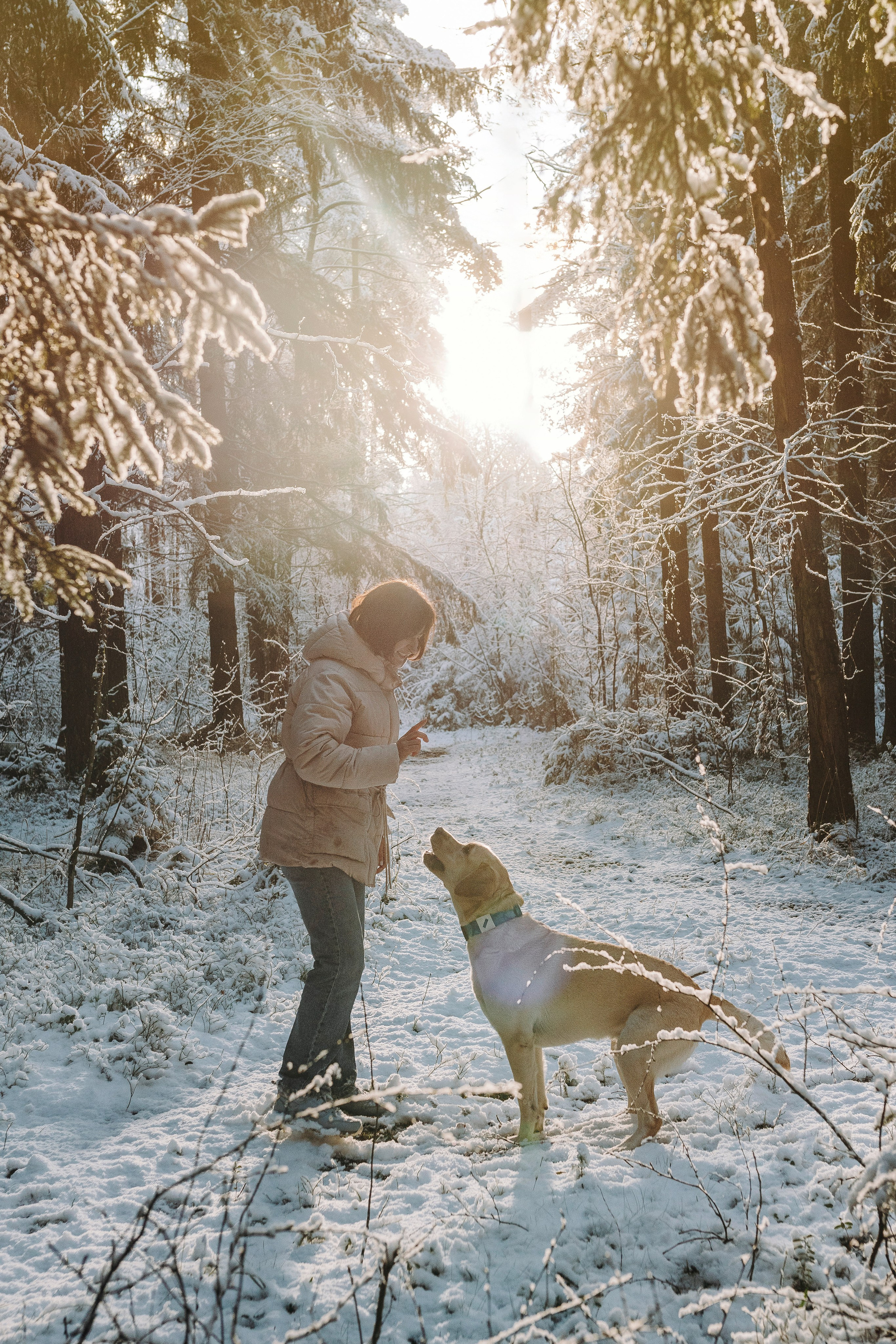 Аня и Честер. Фотограф анималист в Спб недорого Олеся Майорова