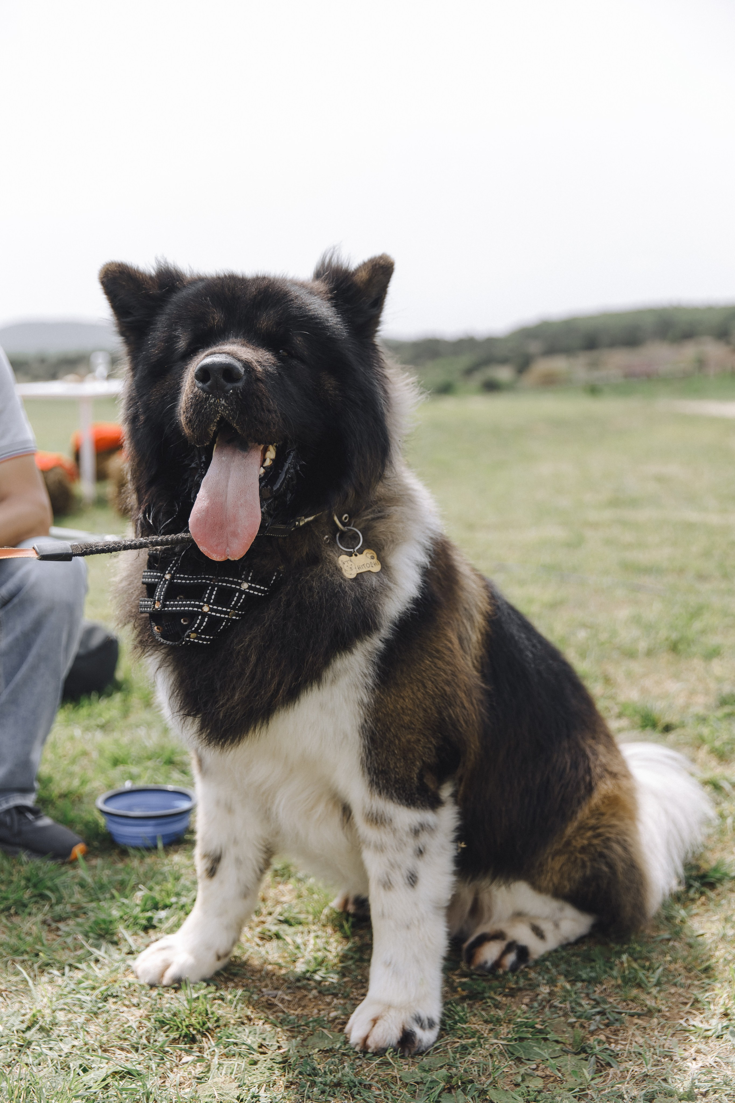 Riesling пикник. Свадебный фотограф в Севастополе и Крыму| Tanya Sher