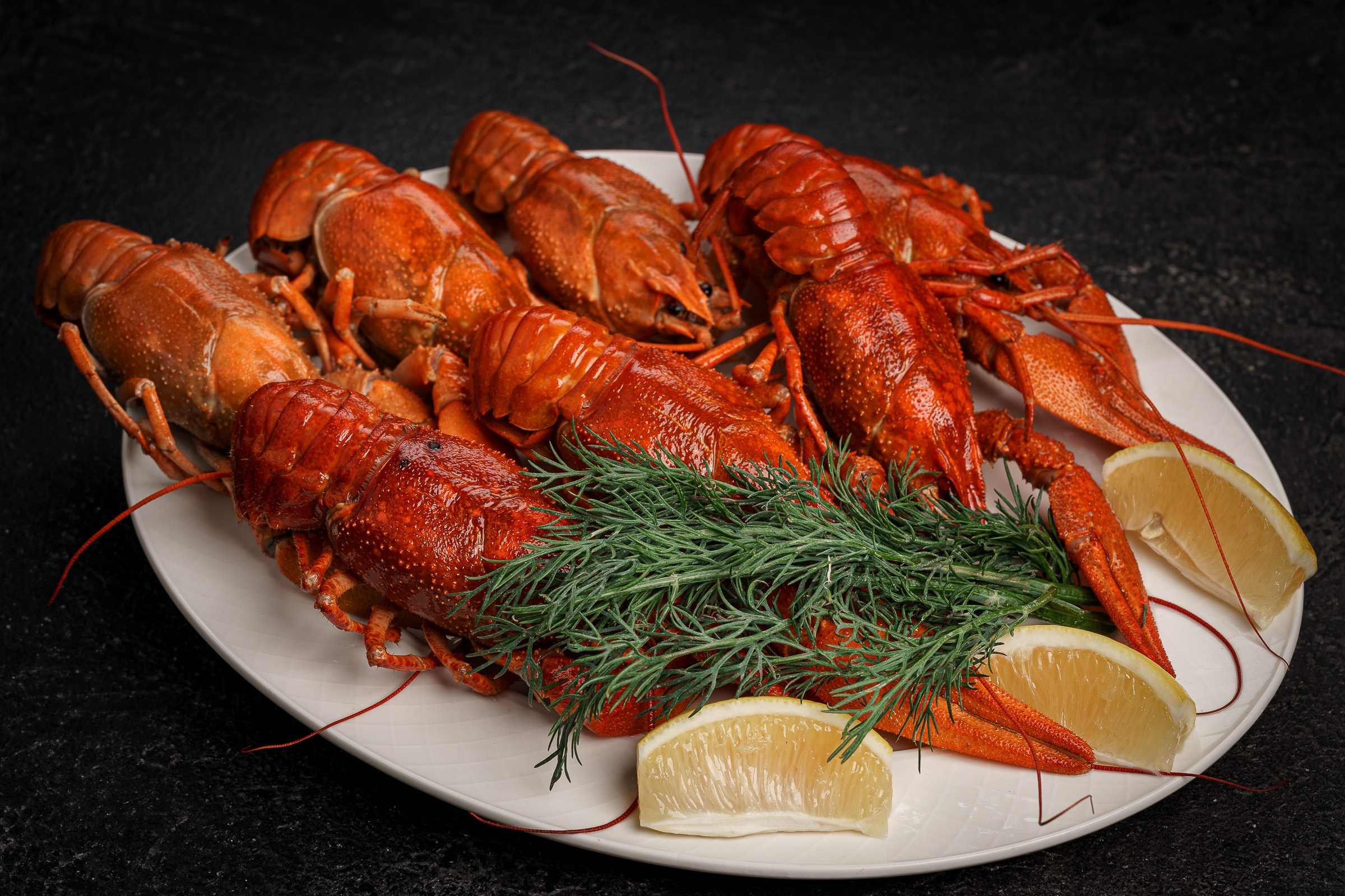 Предметы. Фотограф Николай Прокофьев модельные тесты в Москве