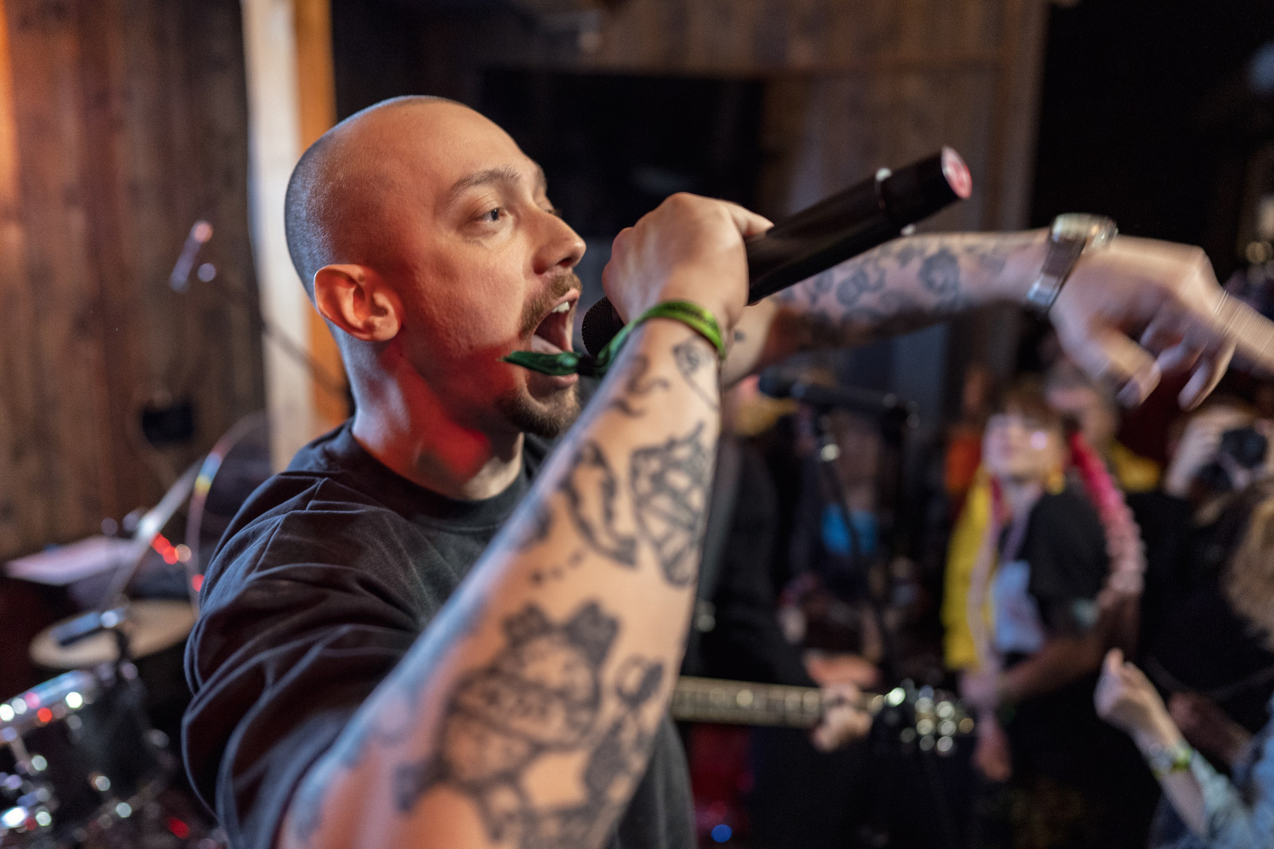 Фотографии музыкального фестиваля Дикая Мята 2025. Фотограф Николай Прокофьев модельные тесты в Москве