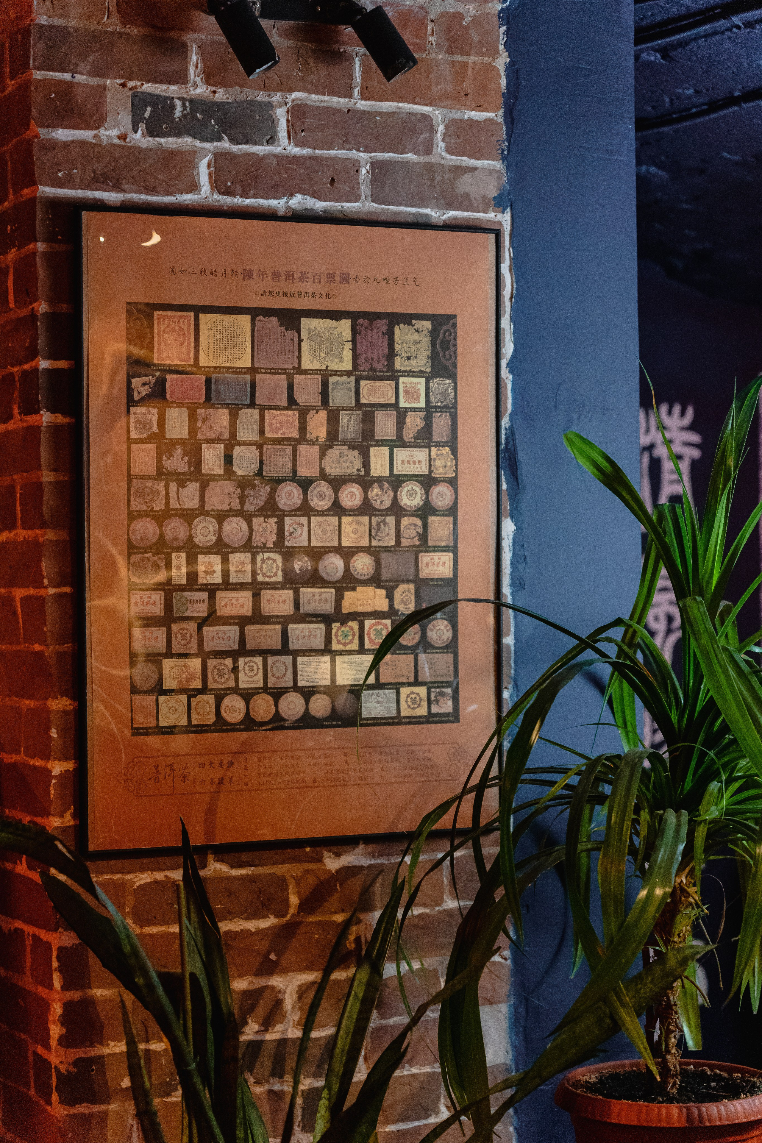 Интерьерная съемка. Фуд фотограф Самара, съемка меню и еды