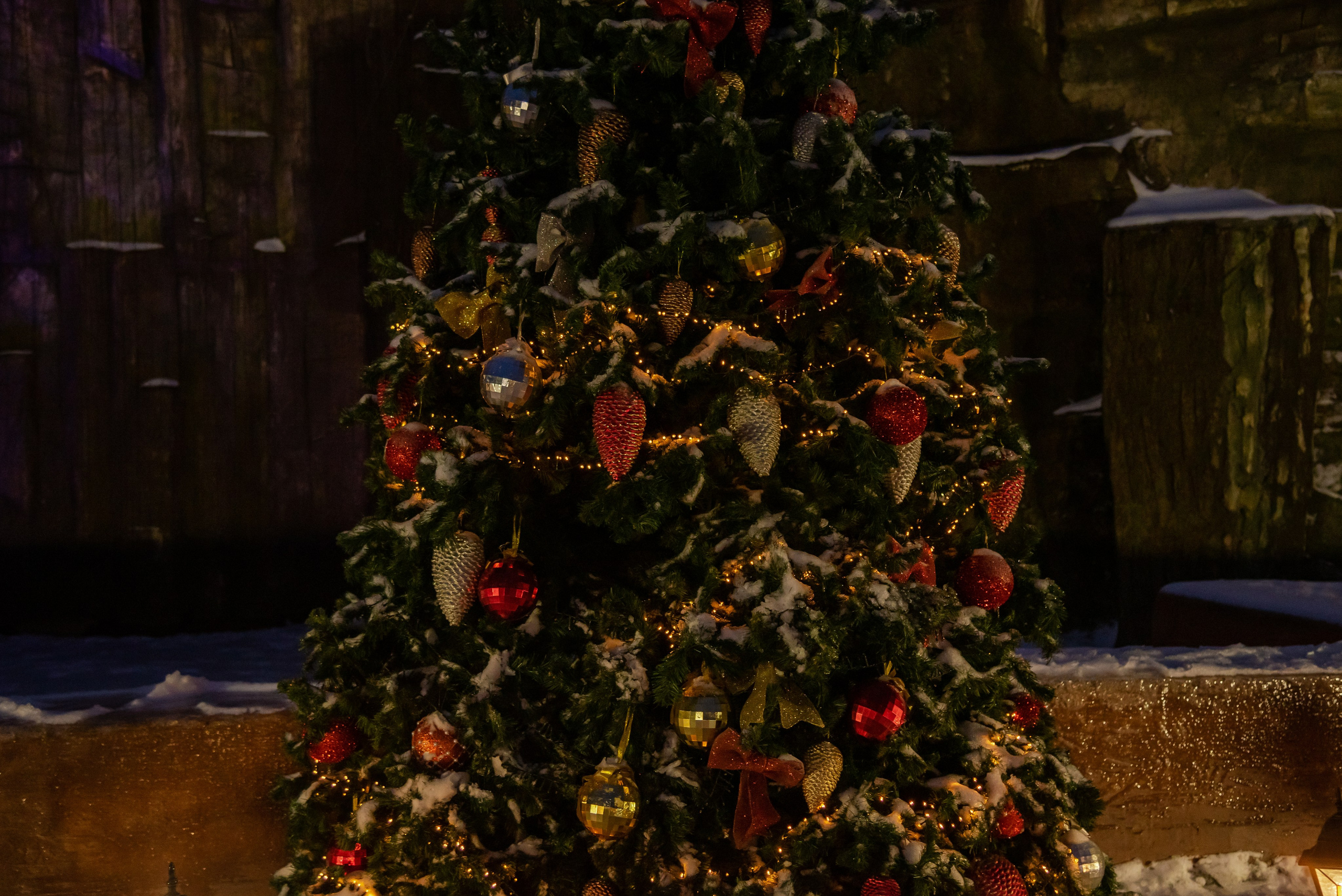 Эдгар и Элина. Фотограф Галина Нестерова