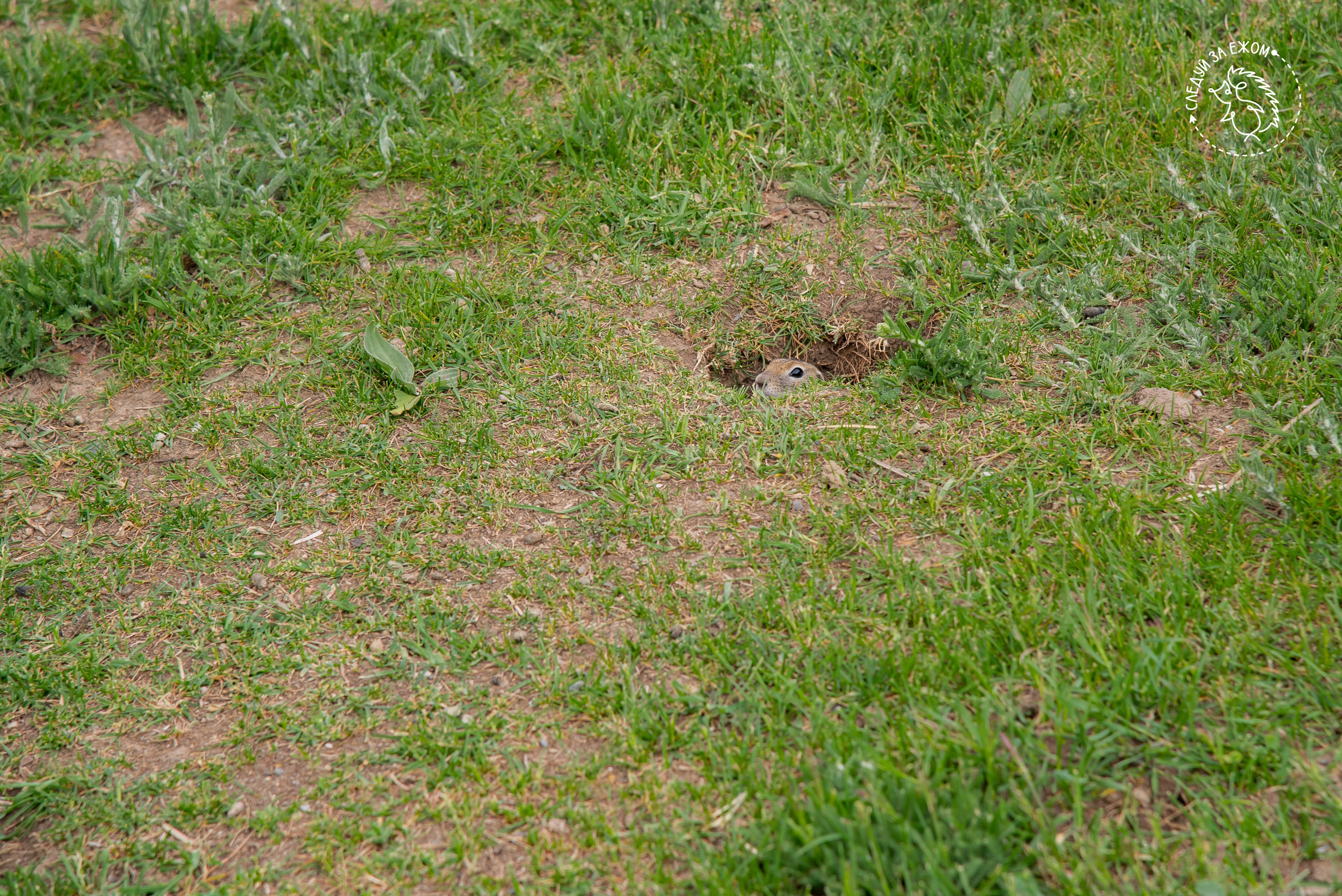 Тур в Чегем. Фотограф Галина Нестерова